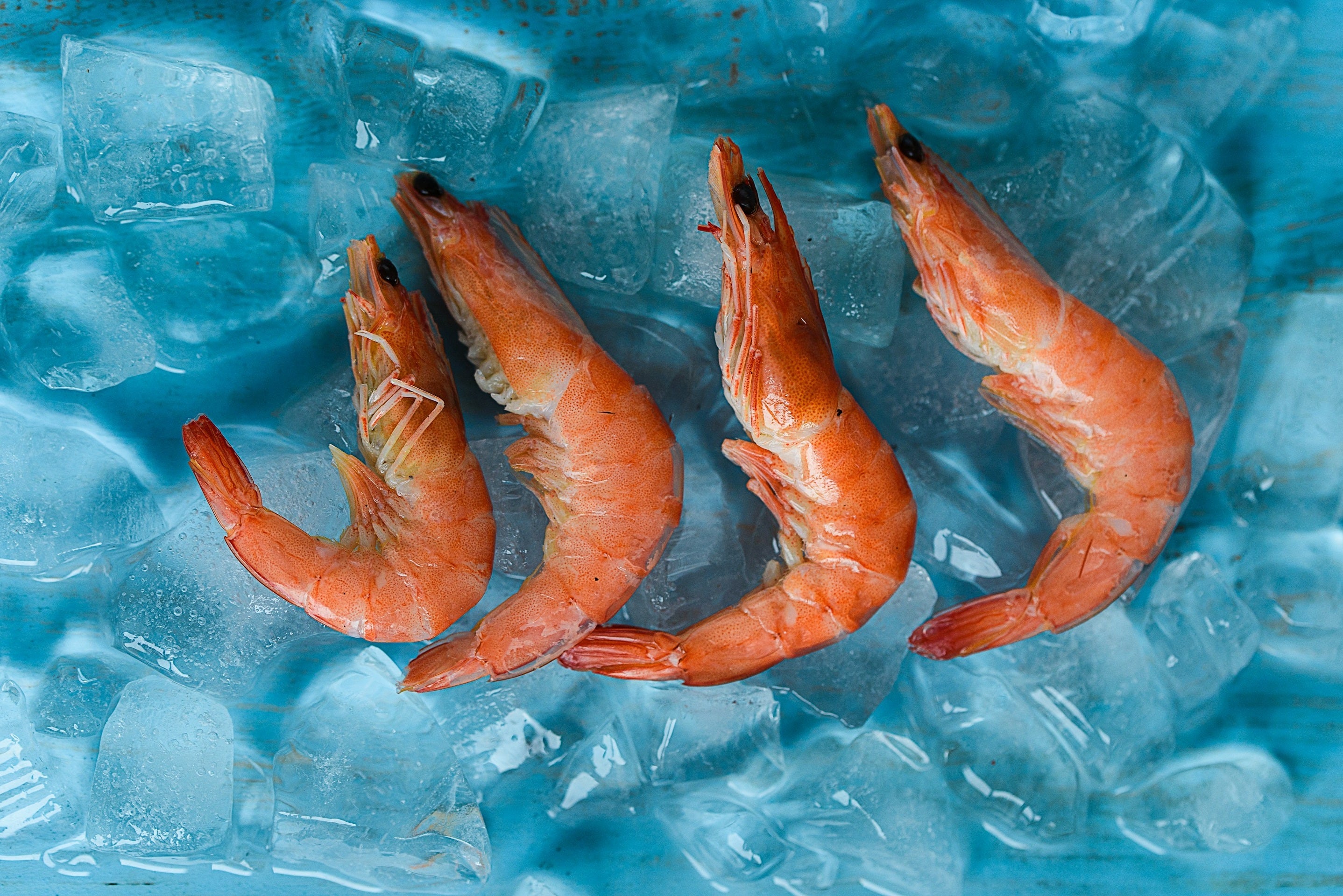 How Long Can You Keep Frozen Shrimp In The Fridge? | Fridge.com