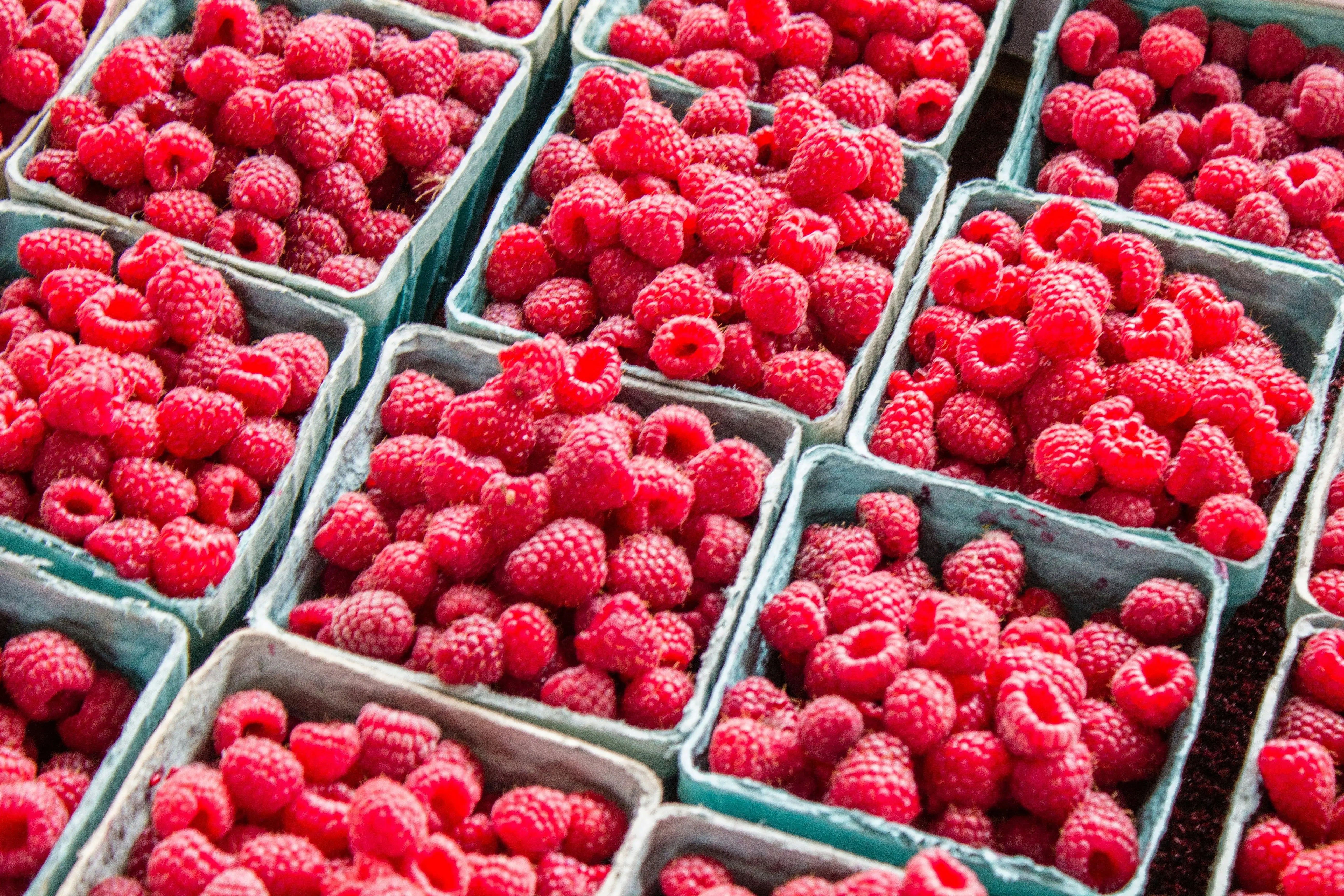 How-Long-Do-Raspberries-Last-In-The-Fridge | Fridge.com