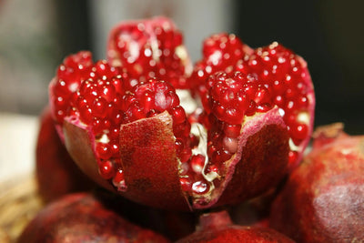 How-Long-Does-Pomegranate-Last-In-The-Fridge | Fridge.com