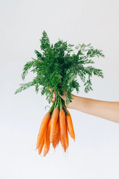 Keep-Your-Carrots-Crisp-Fridge-Storage-Duration-Unveiled | Fridge.com