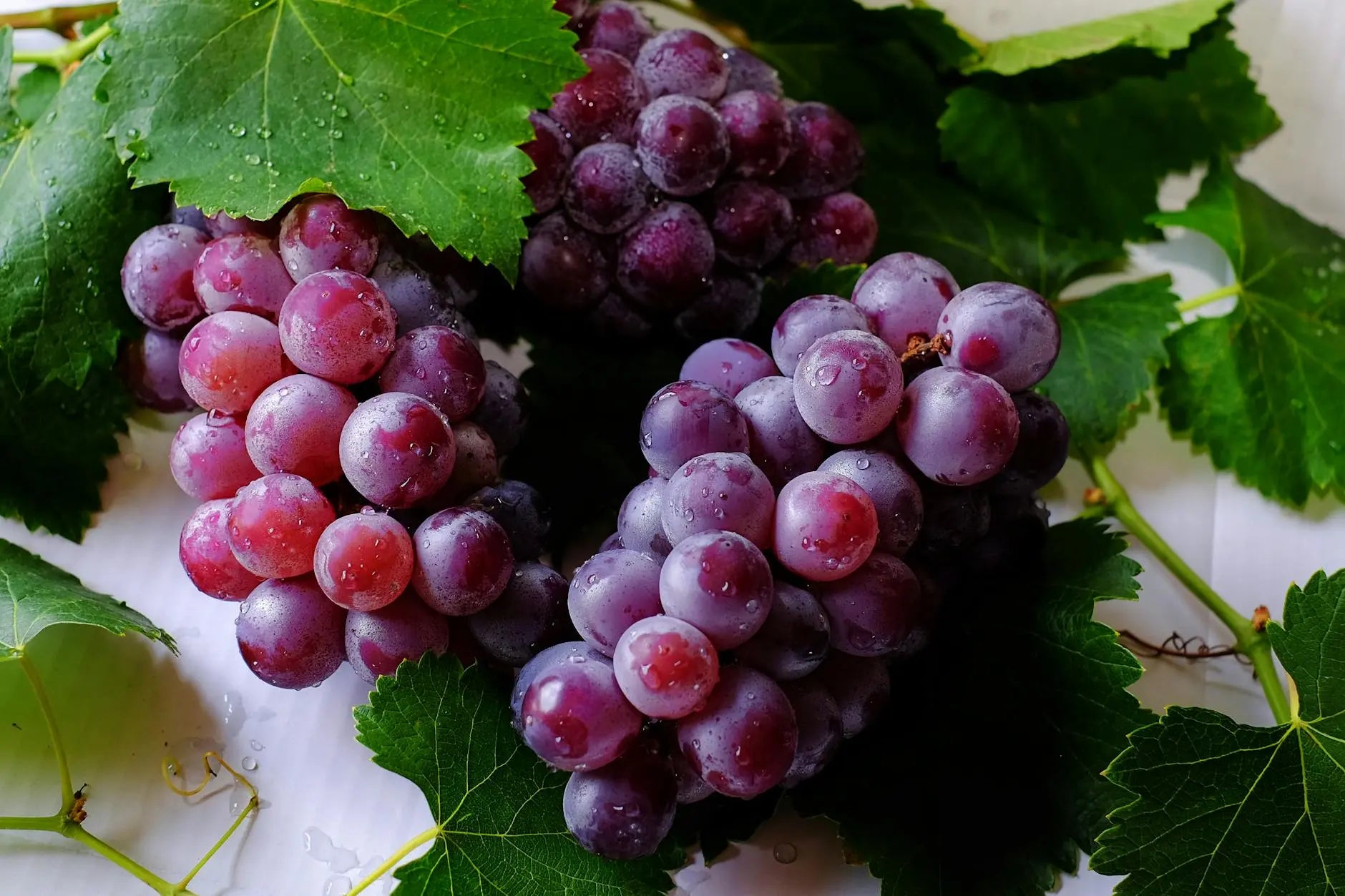 Savor-Every-Bite-Discover-How-Long-Grapes-Stay-Fresh-In-The-Fridge | Fridge.com