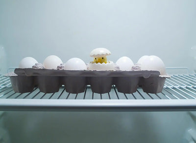 Unlocking-Freshness-The-Science-Behind-Eggs-Shelf-Life-In-The-Fridge | Fridge.com