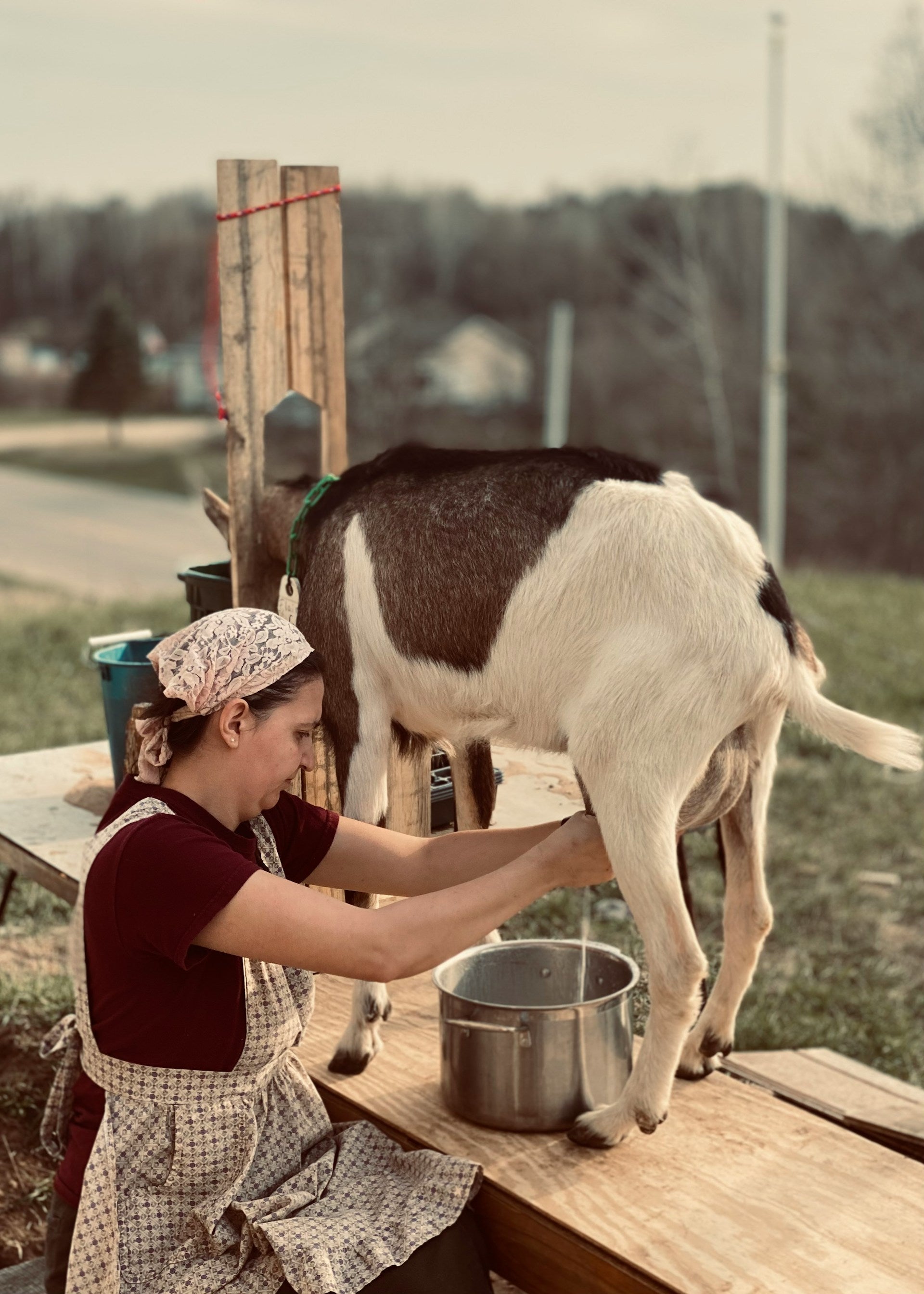 How Long Does Goat Milk Last In The Fridge? | Fridge.com
