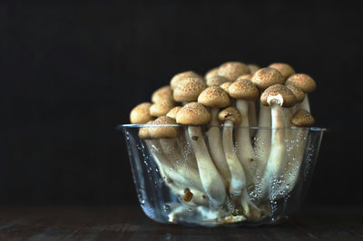 How Long Do Shimeji Mushrooms Last In The Fridge?
