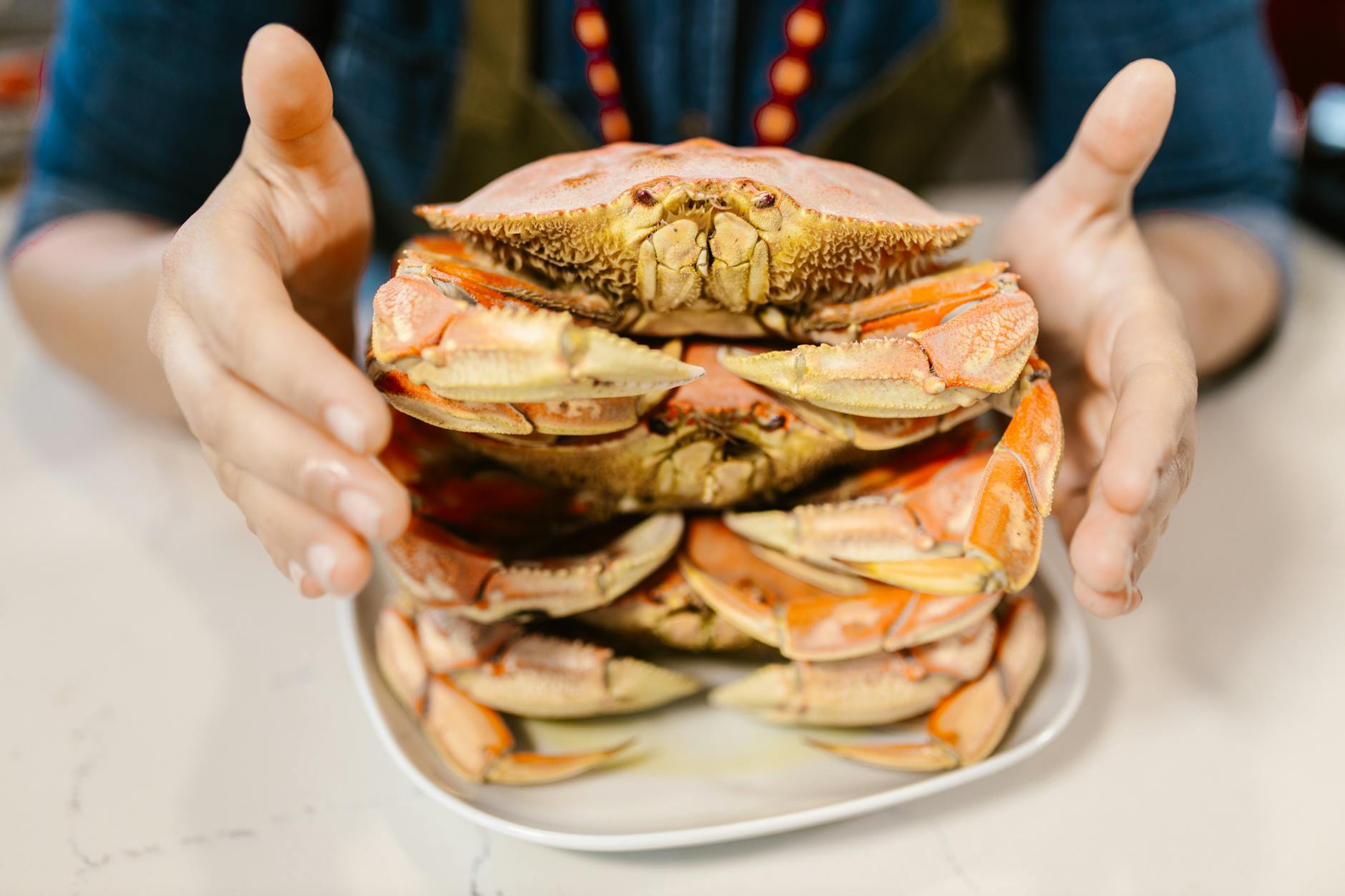 How Long Do Cooked Crabs Last In The Fridge? | Fridge.com