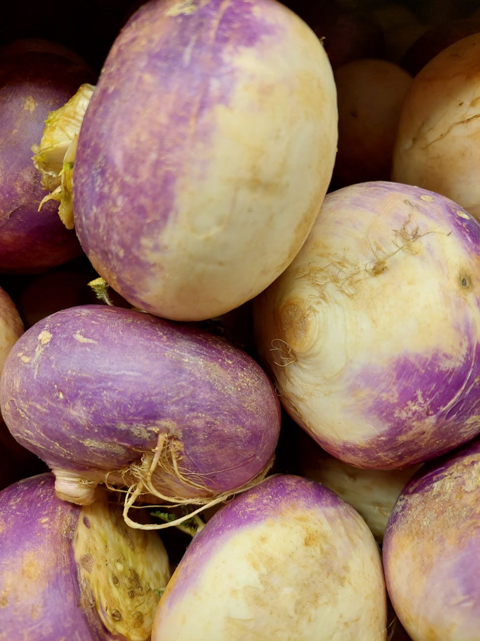 How Long Does Turnip Last In The Fridge? | Fridge.com
