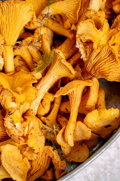 How Long Do Chanterelle Mushrooms Last In The Fridge? | Fridge.com