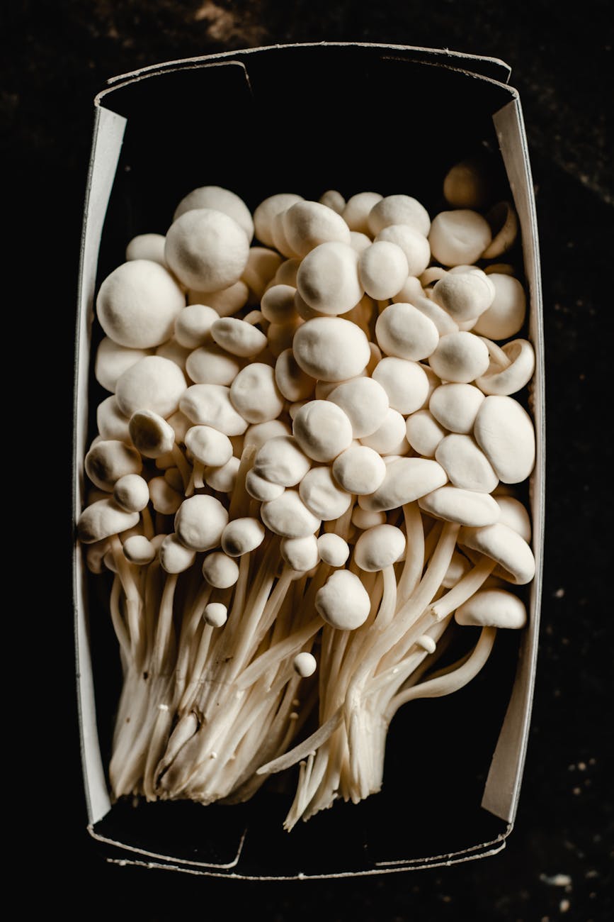 How Long Do Enoki Mushrooms Last In The Fridge? | Fridge.com