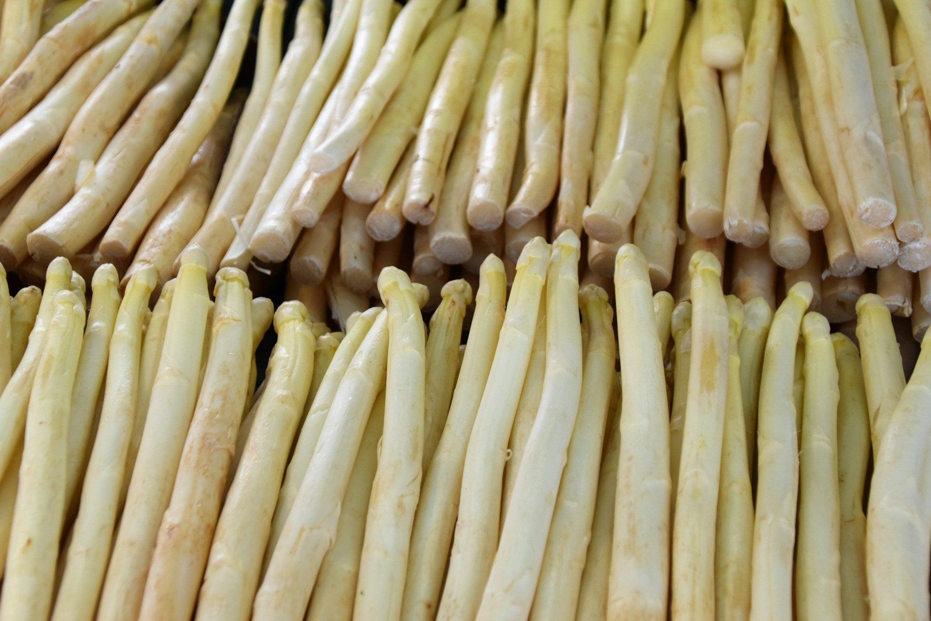 How Long Do Bamboo Shoots Last In The Fridge? | Fridge.com