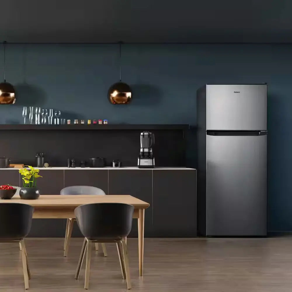 10.0 Cu. Ft. Top Freezer Refrigerator with Dual Door, Frost Free in Stainless Steel Look | Fridge.com