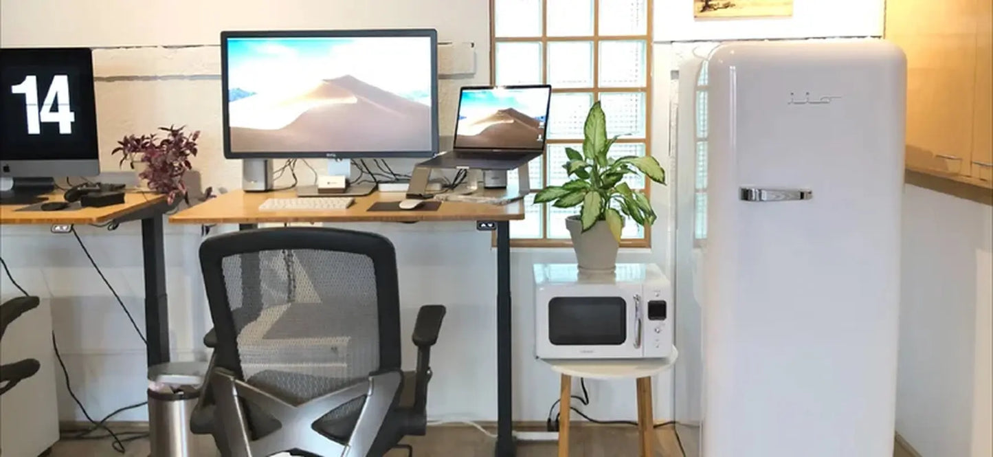 Iio 24" 10 Cubic Feet Top Freezer Refrigerator | Fridge.com