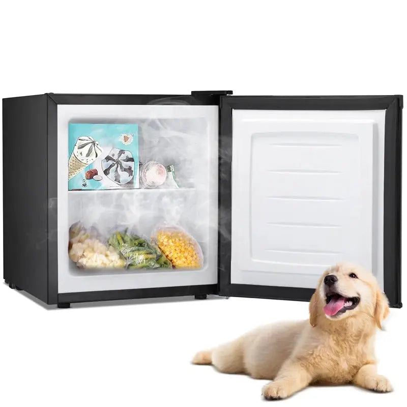 Portable 1.1 Cubic Feet Frost-Free Upright Freezer with Adjustable Temperature Controls | Fridge.com