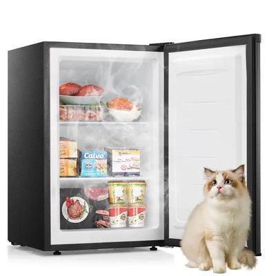 Portable Upright Freezer with Adjustable Temperature Controls, for Home Kitchen Office Apartment | Fridge.com