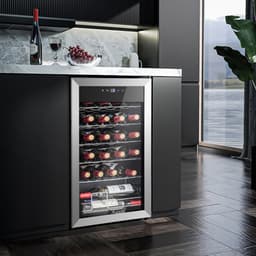 24 Bottle Wine Refrigerator  Quiet Freestanding Mini Fridge For Red, White, And Sparkling Wines, Digital Thermostat, Ideal For Home, Kitchen, Or Bedr | Fridge.com