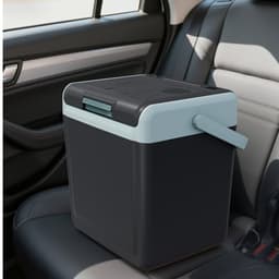 25QT Portable Cooler And Warmer Mini Fridge For Car Travel Camping And Home | Fridge.com