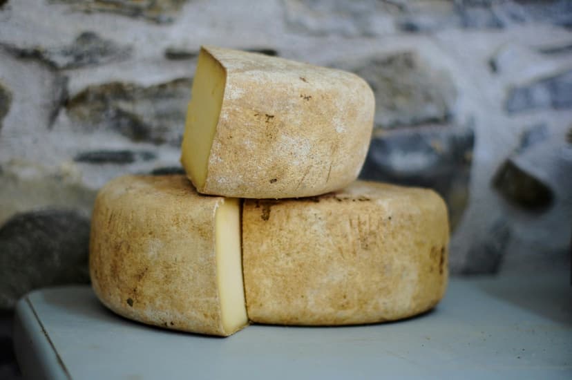 How Long Does Parmesan Last In The Fridge? | Fridge.com