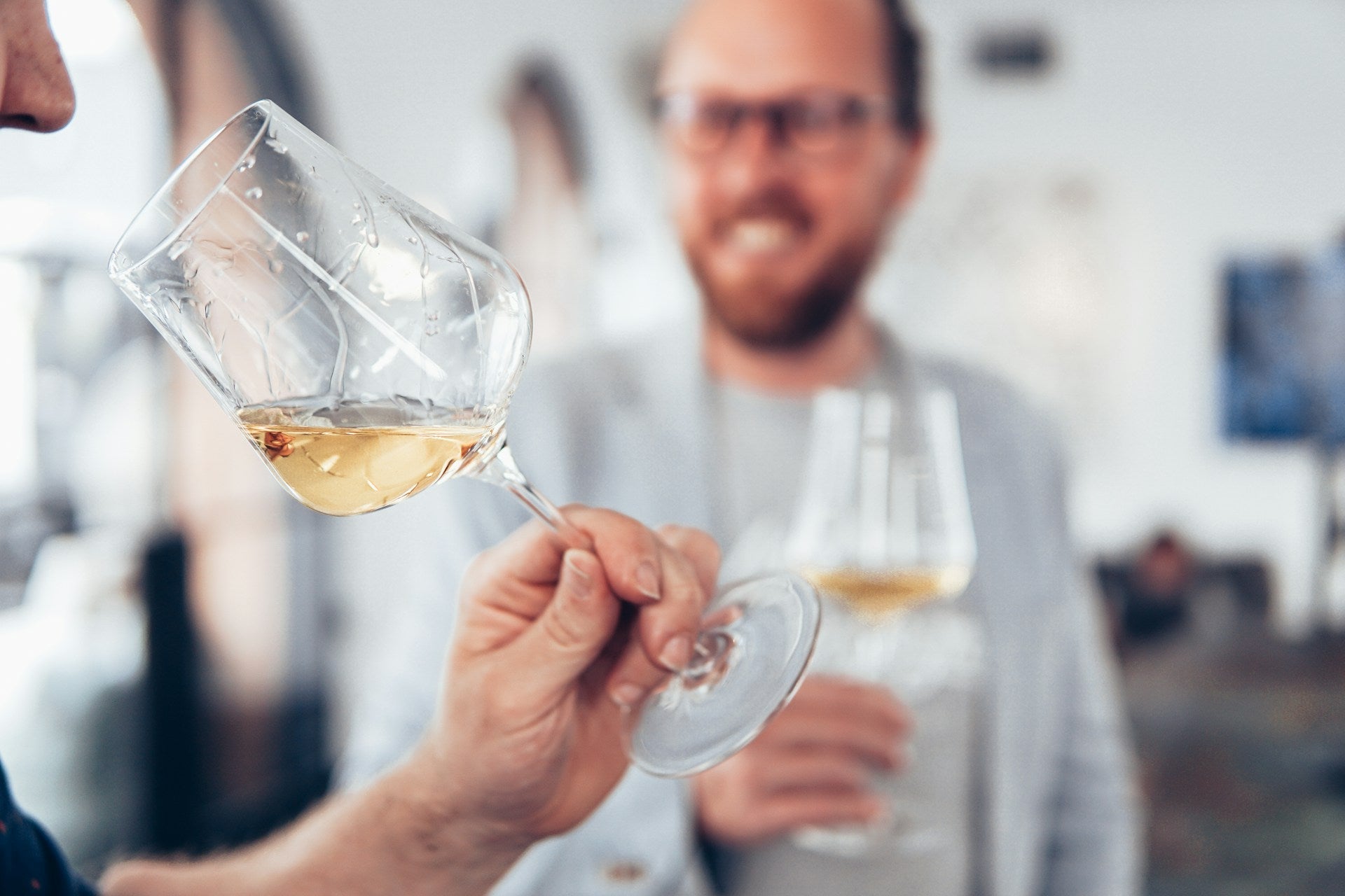 4 Door Refrigerator Vs. Wine Chiller | Fridge.com
