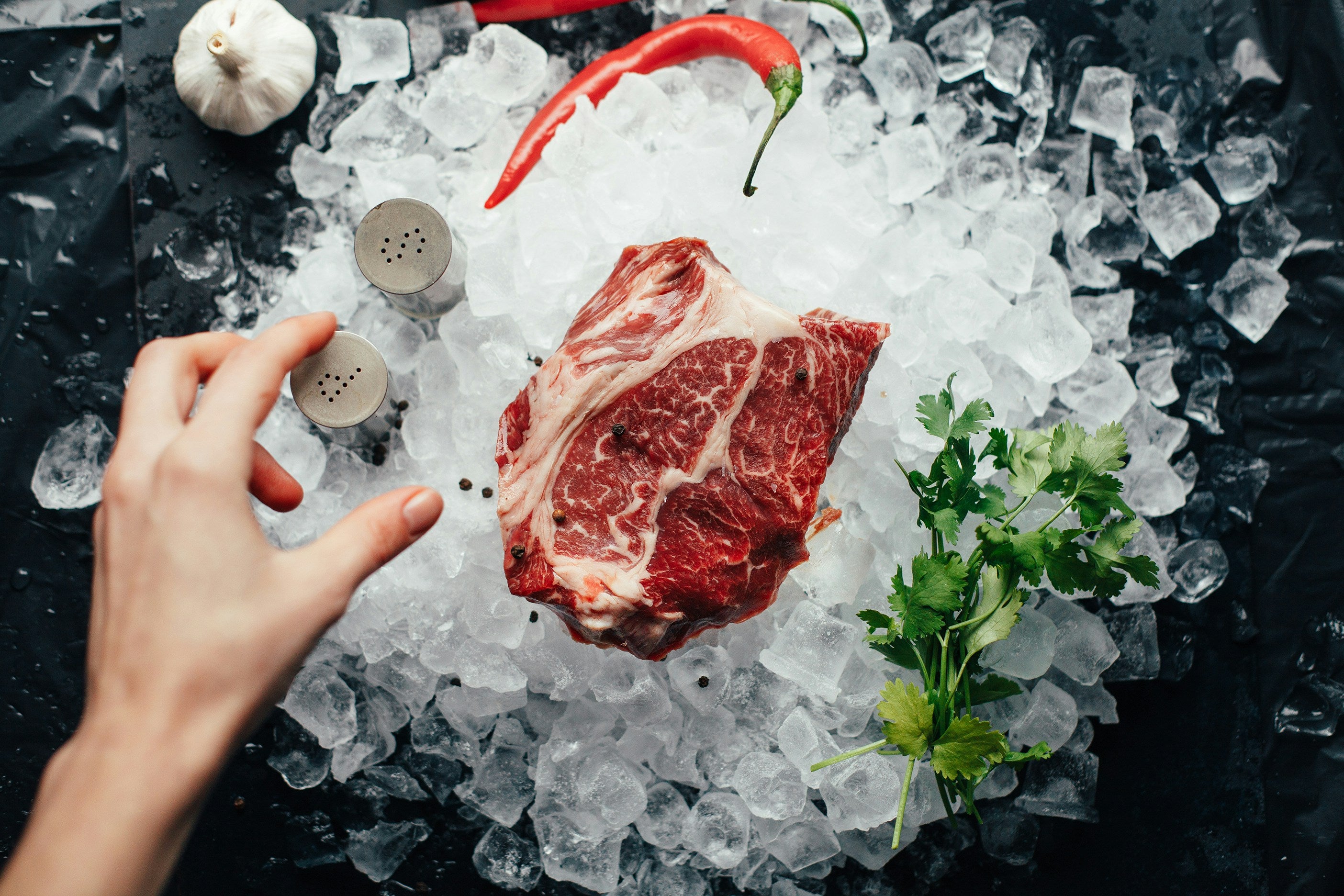 All Freezer Refrigerators | Fridge.com