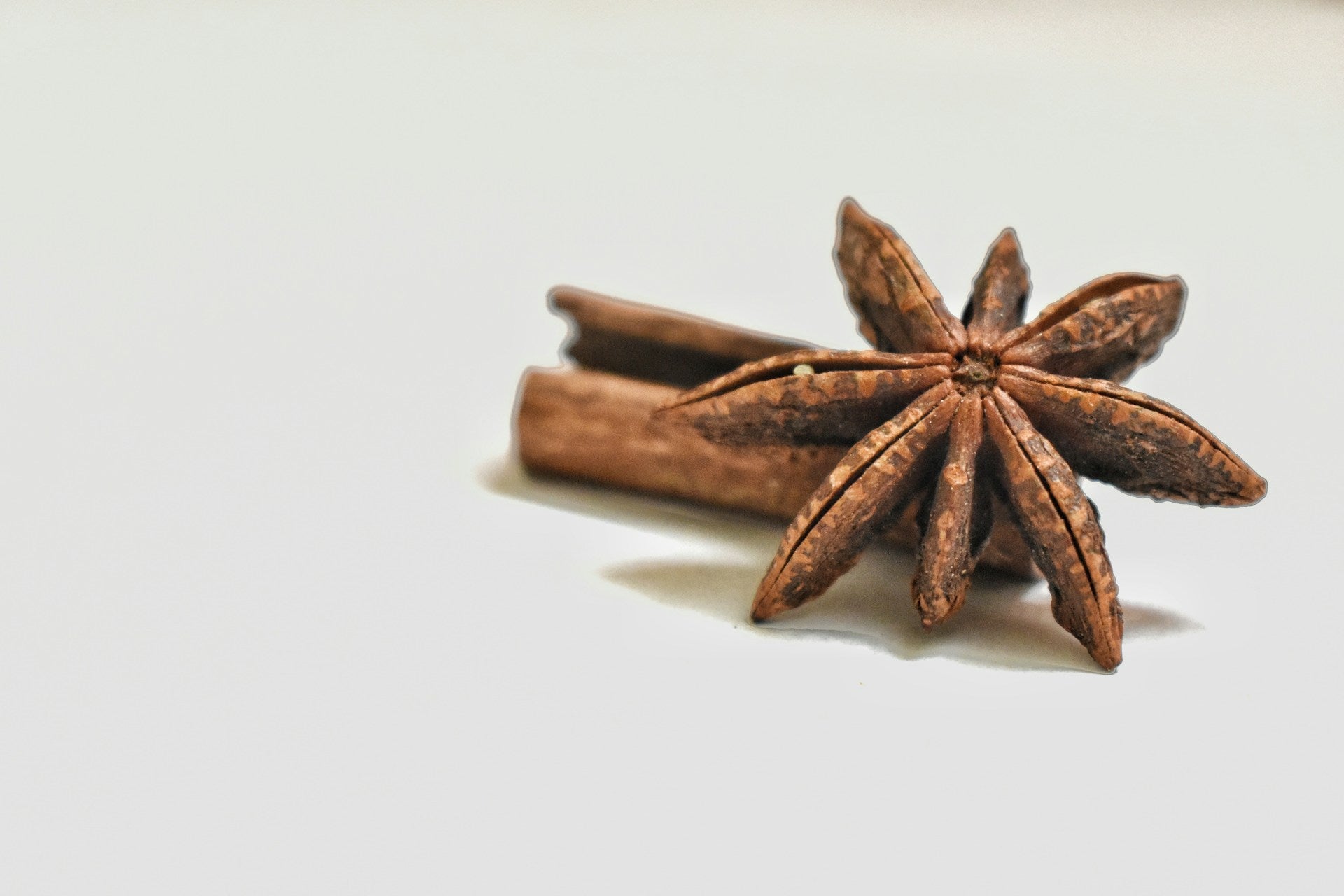 Anise Vs. Star Anise In The Fridge | Fridge.com