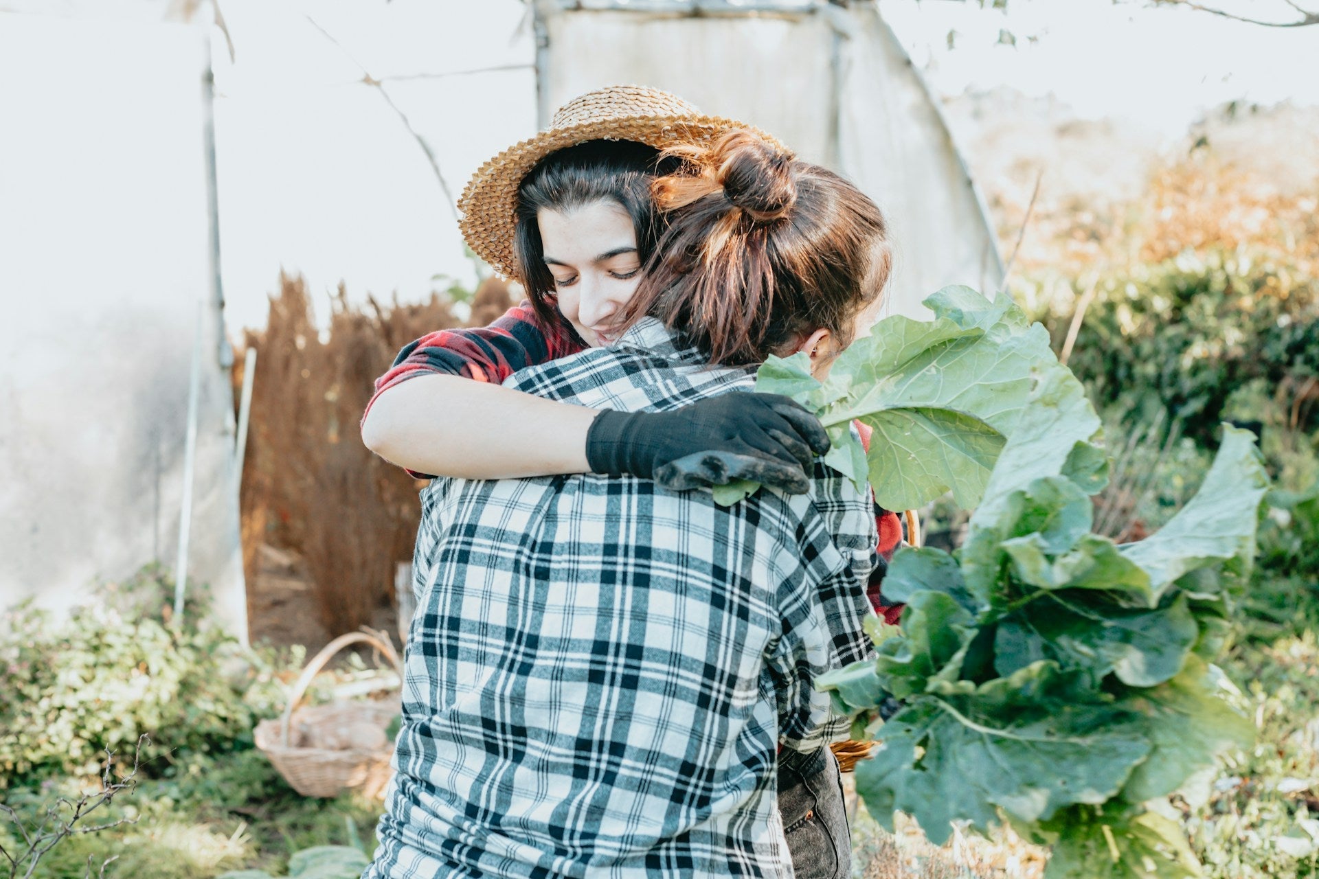 Best Fridge For Hug A Vegetarian Day | Fridge.com