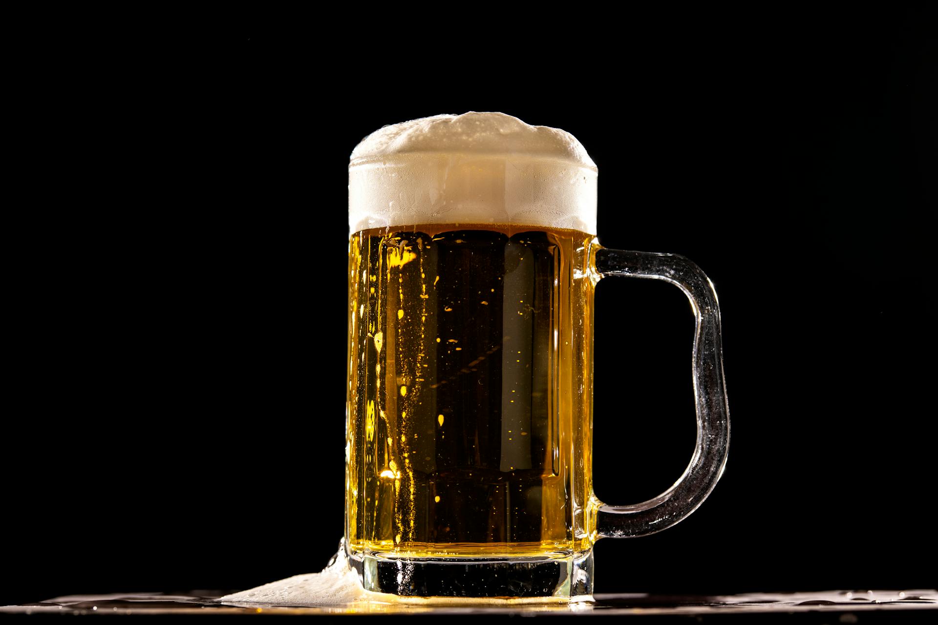Best Fridge For National American Beer Day | Fridge.com