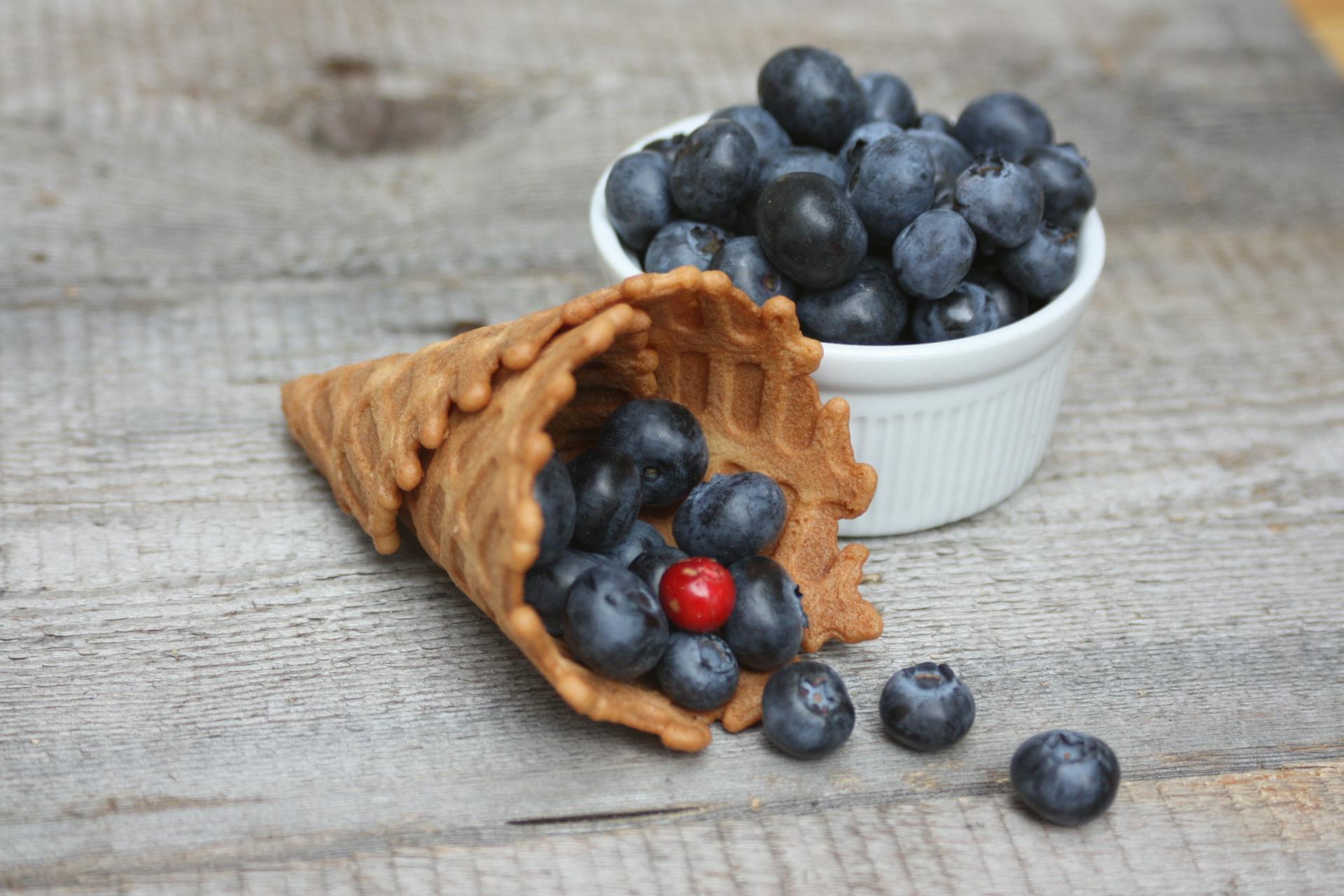 Best Fridge For National Blueberry Day | Fridge.com