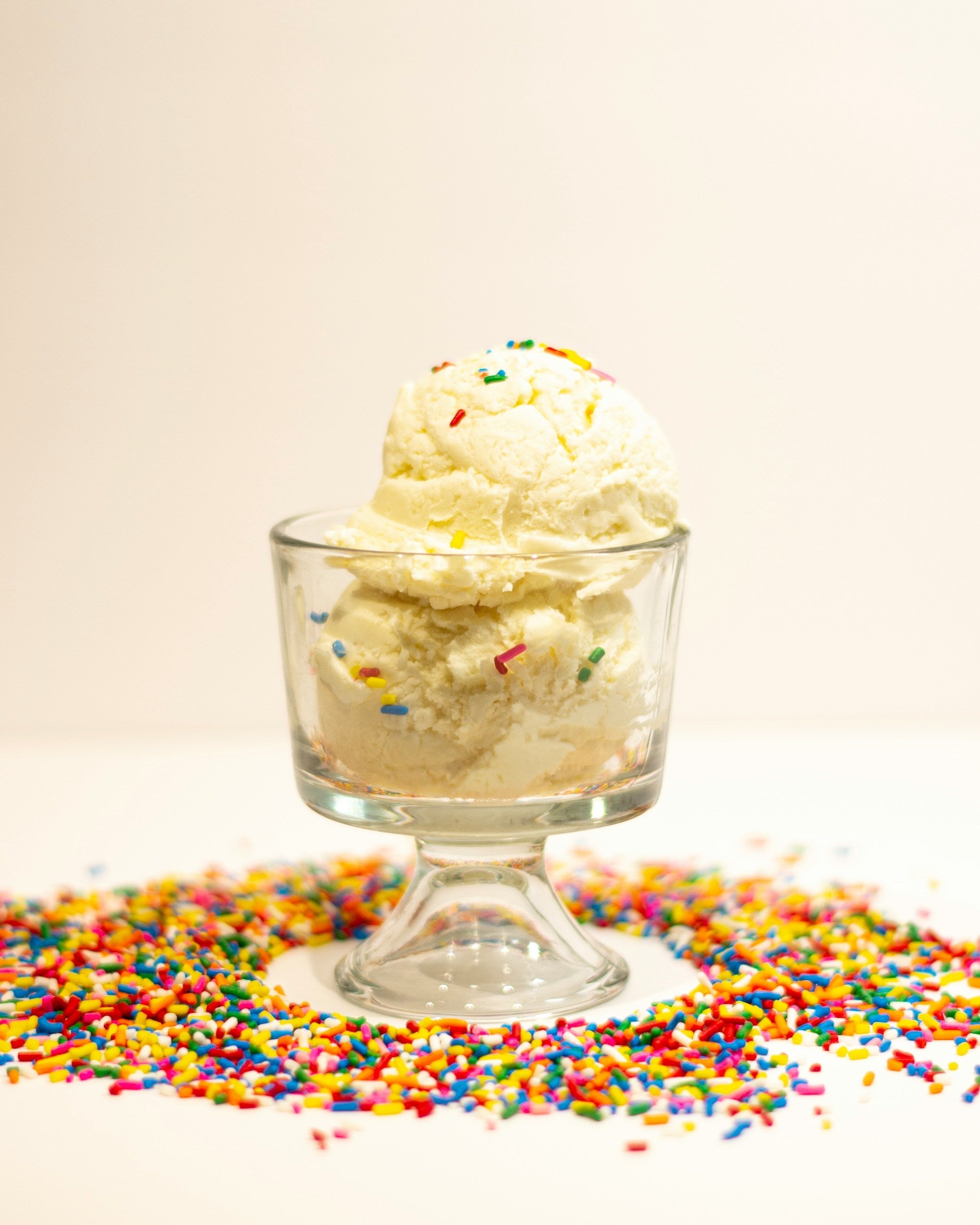 Best Fridge For National Vanilla Ice Cream Day | Fridge.com
