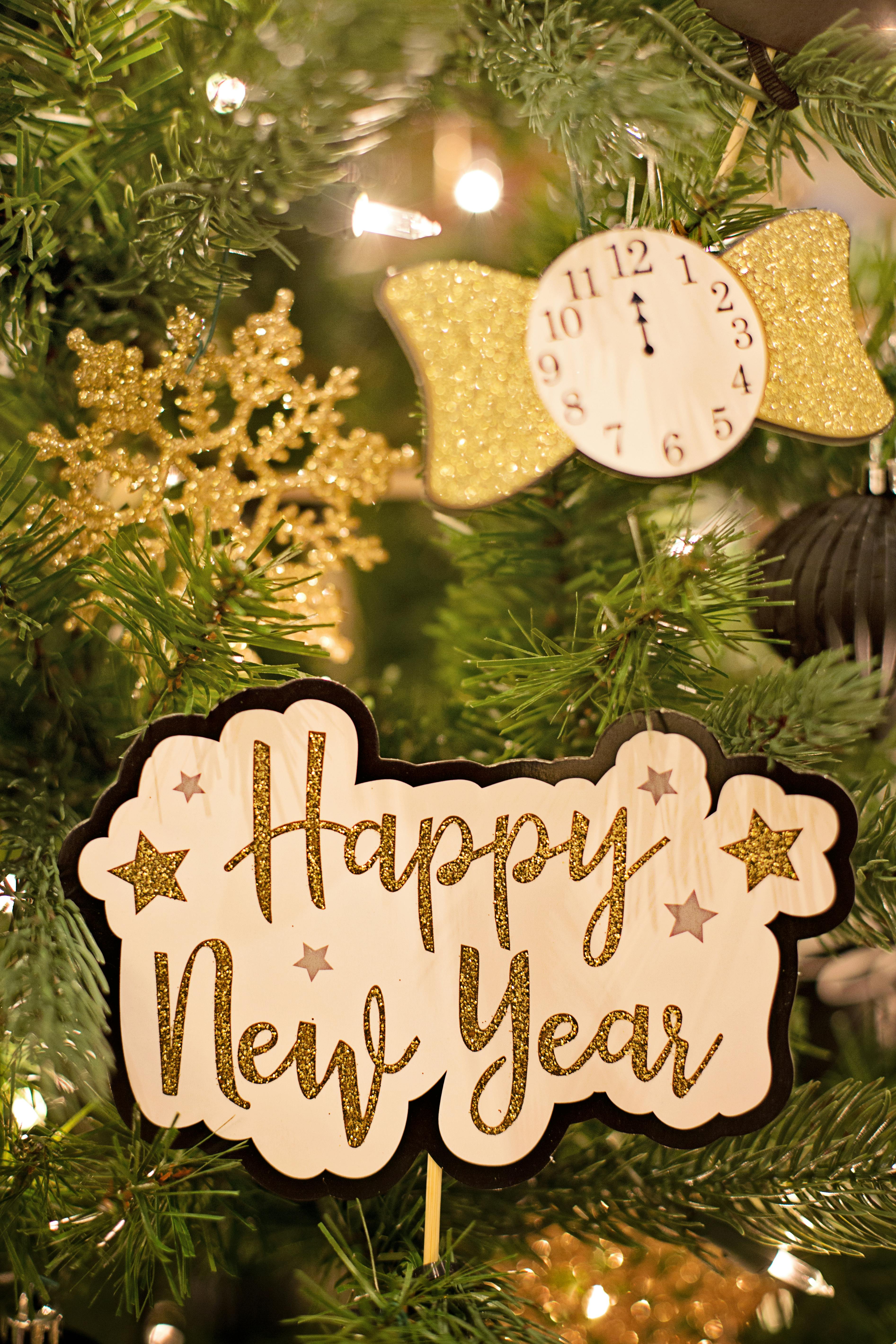 Best Fridge For New Year’s Eve | Fridge.com