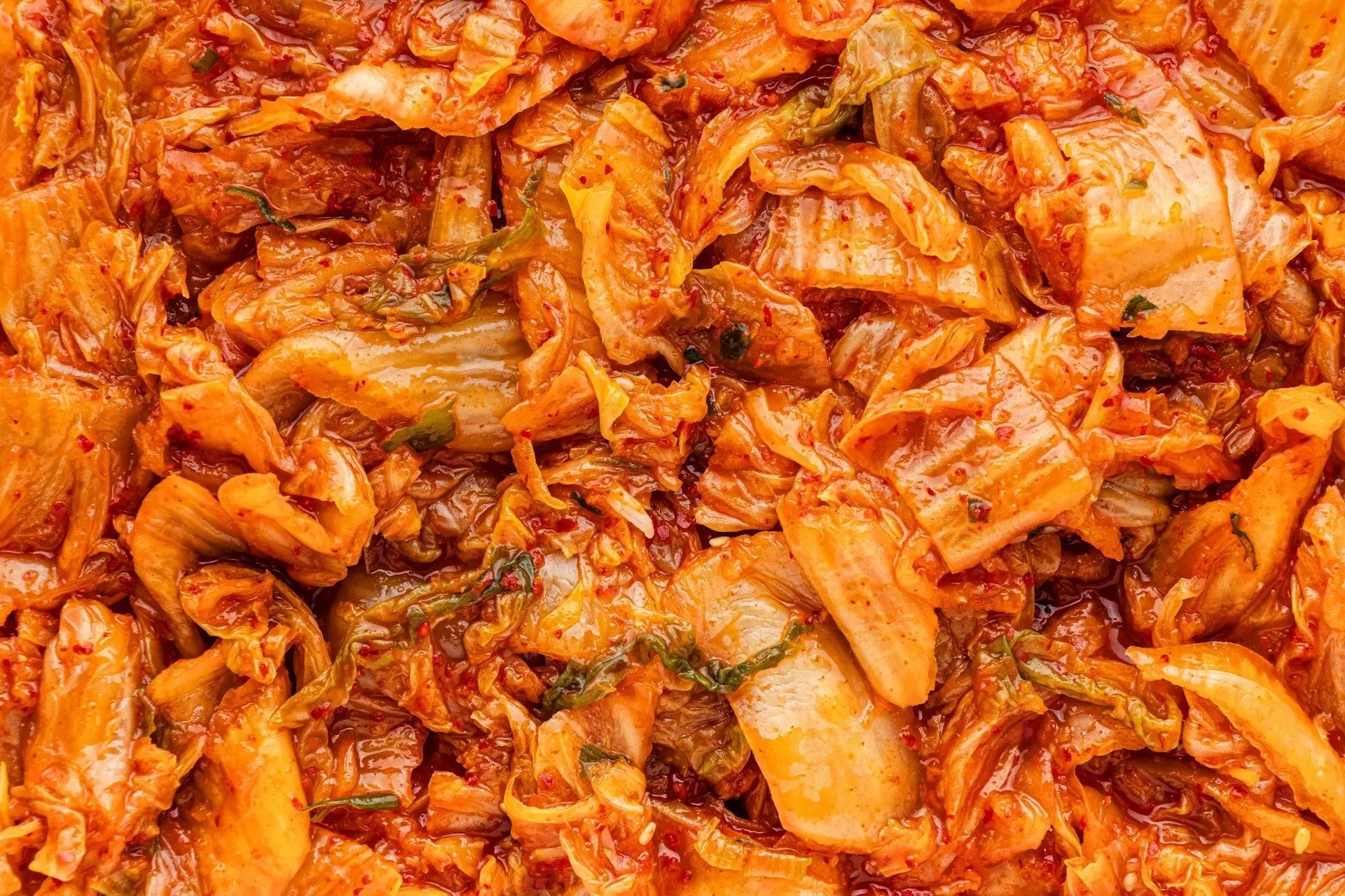 Best Kimchi Refrigerator | Fridge.com