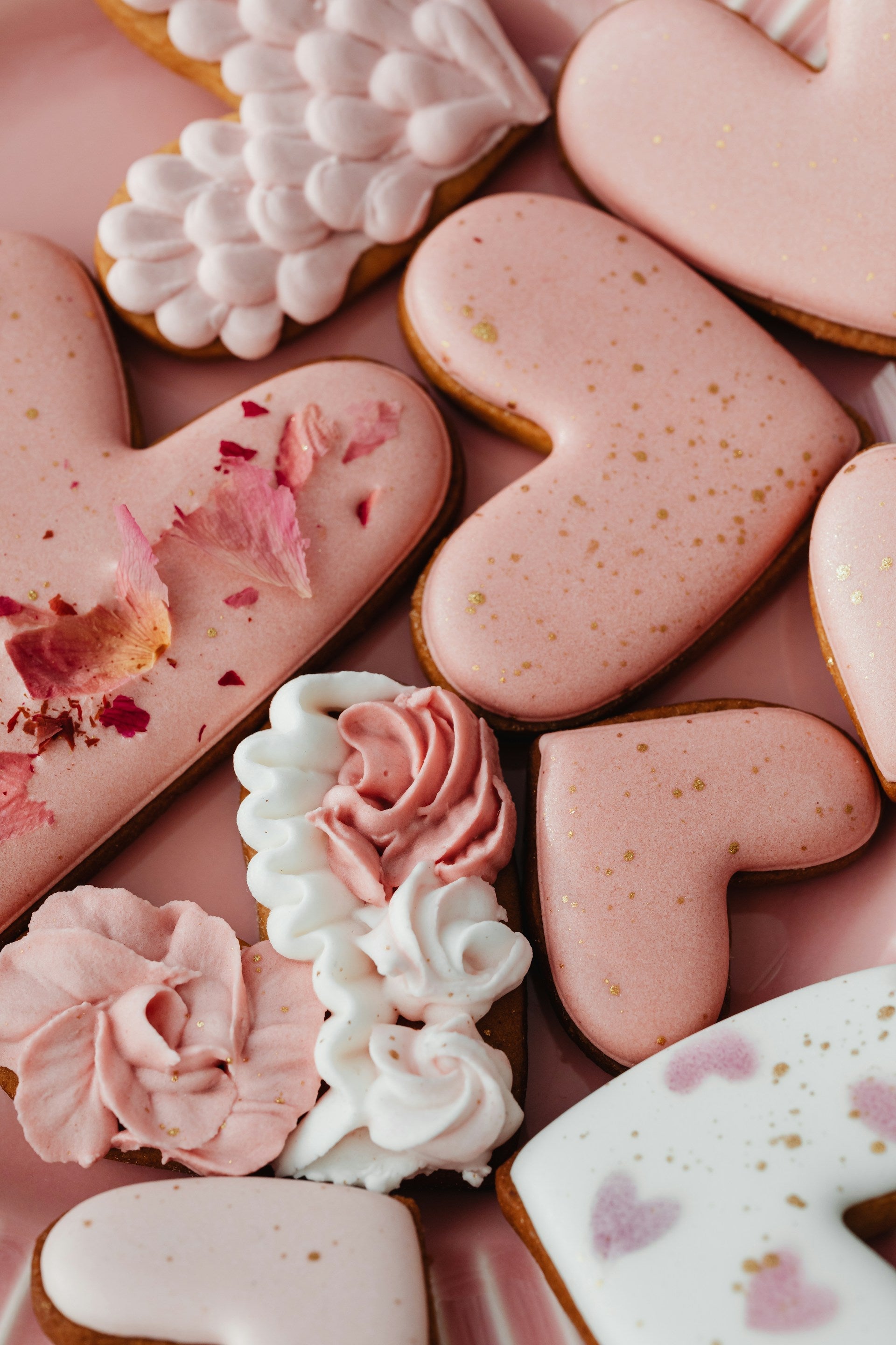 Best Shelf Fridge For Valentine's Day | Fridge.com