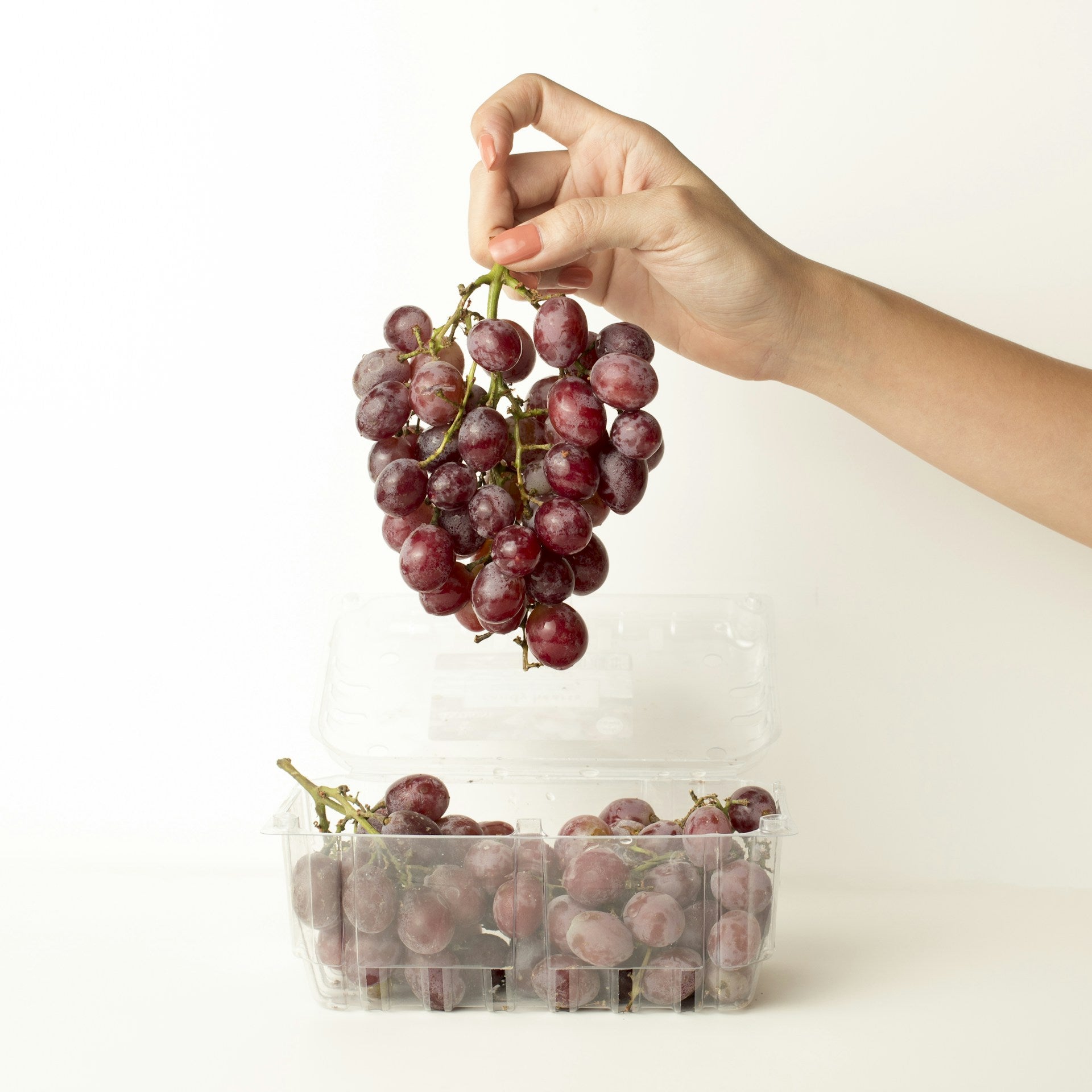 Best Way To Store Grapes In The Refrigerator | Fridge.com