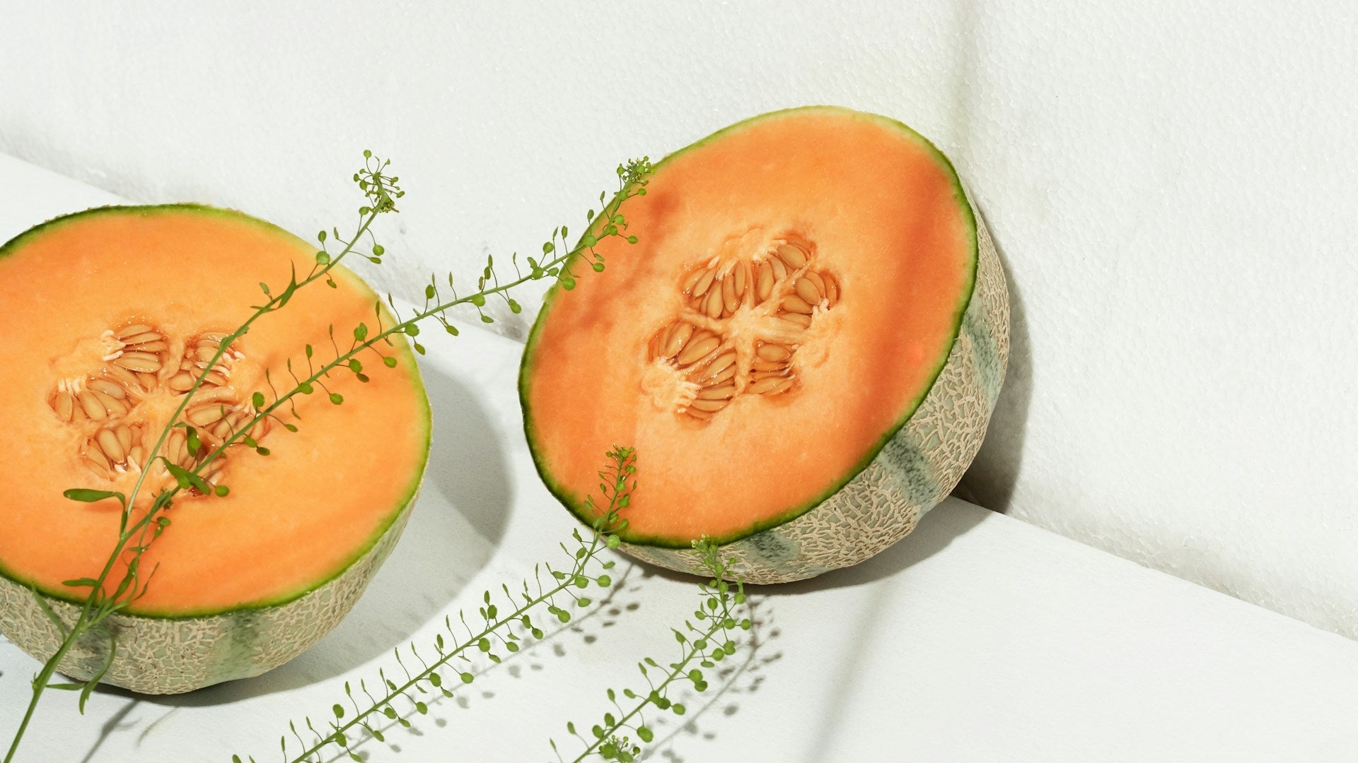 Best Ways To Store Kronos Melon Seeds In The Fridge | Fridge.com