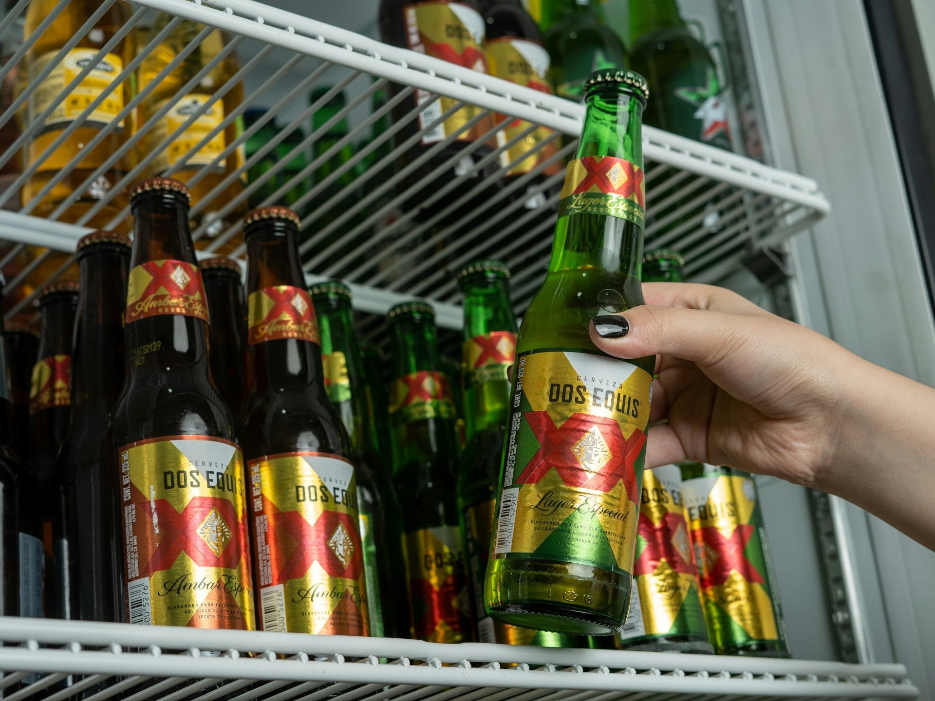 Beverage Refrigerator Vs. Top Freezer Refrigerator | Fridge.com