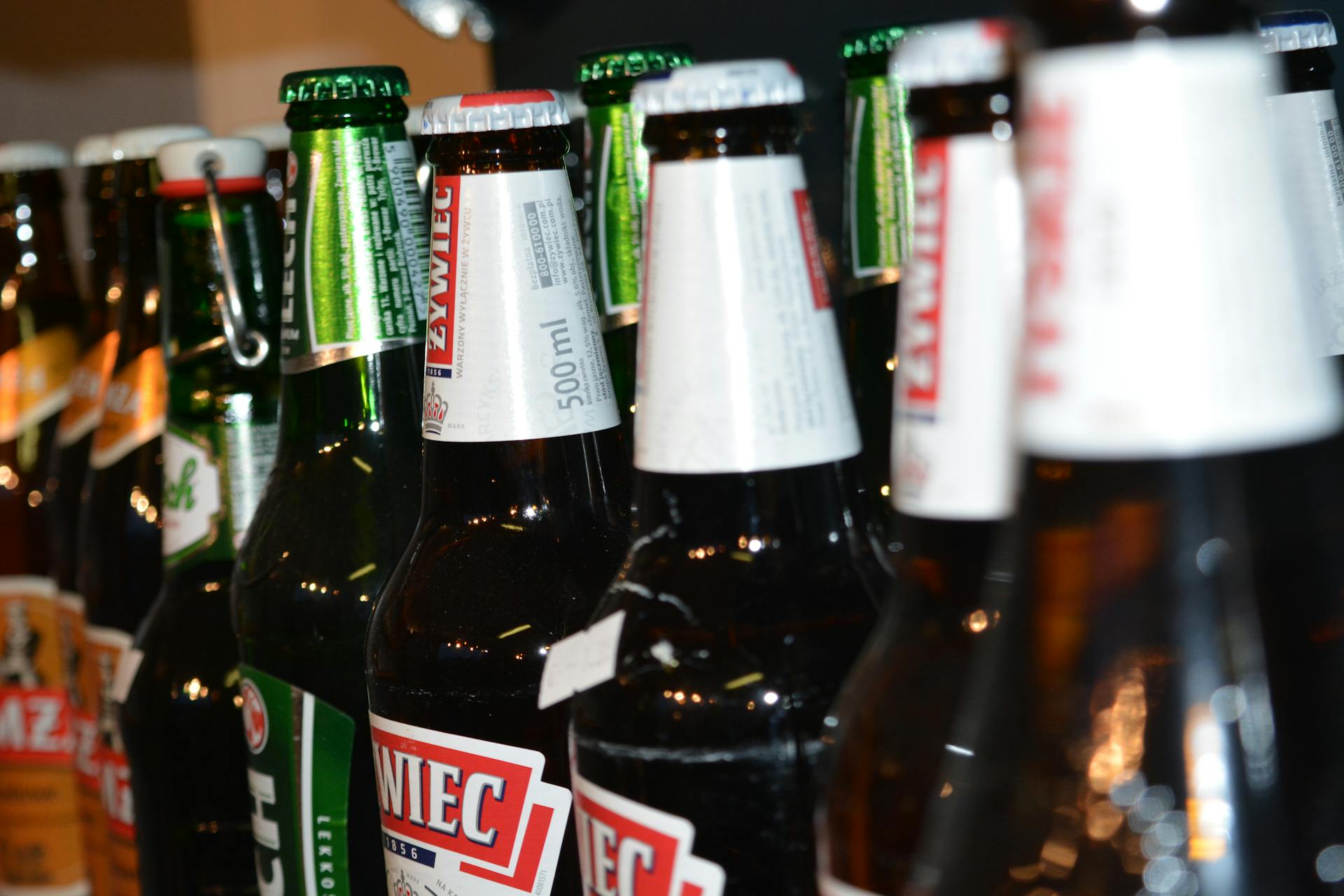Bottle Refrigerator Vs. Convertible Freezer | Fridge.com
