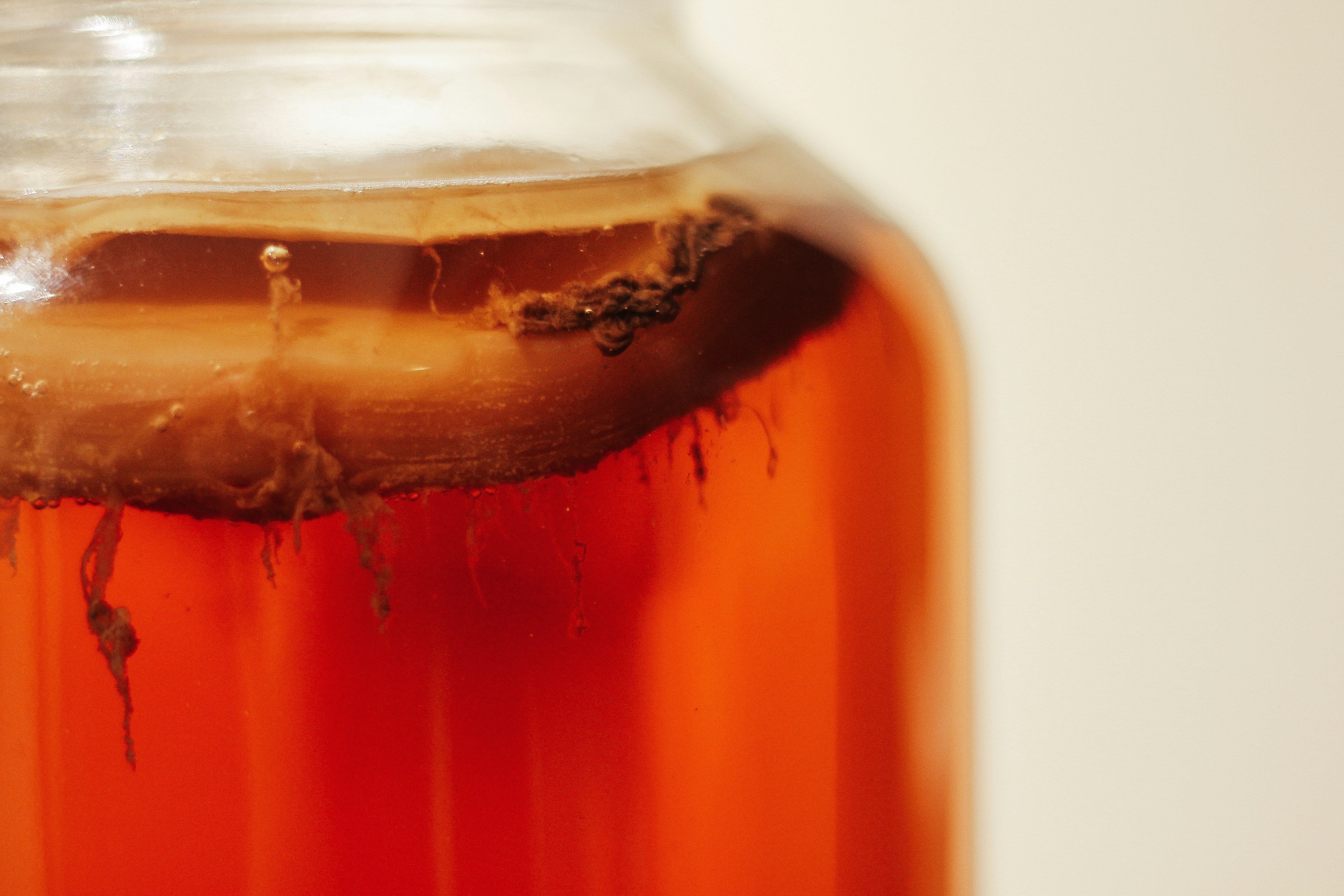 Can You Freeze Kombucha? | Fridge.com