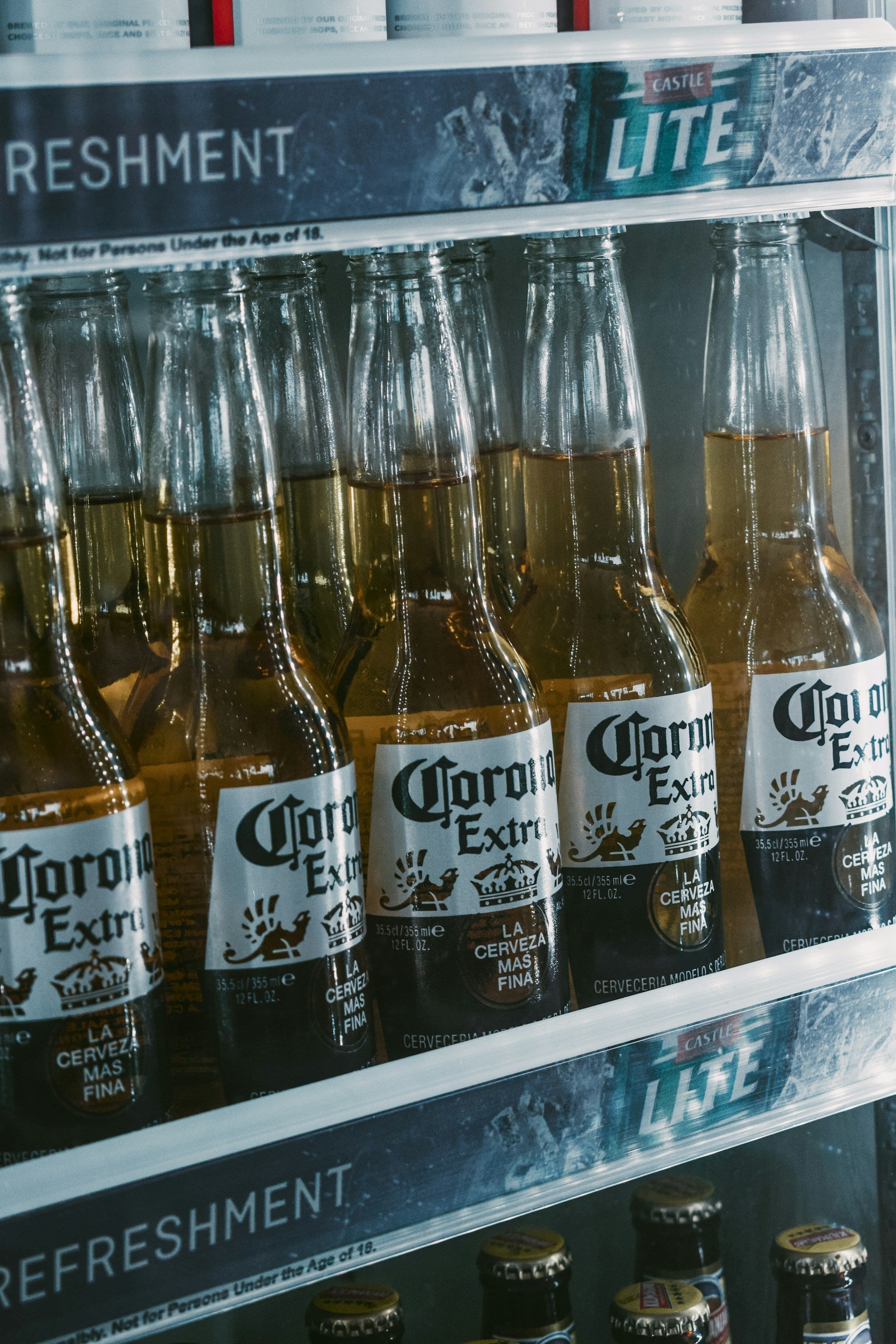 Commercial Single Door Refrigerator | Fridge.com