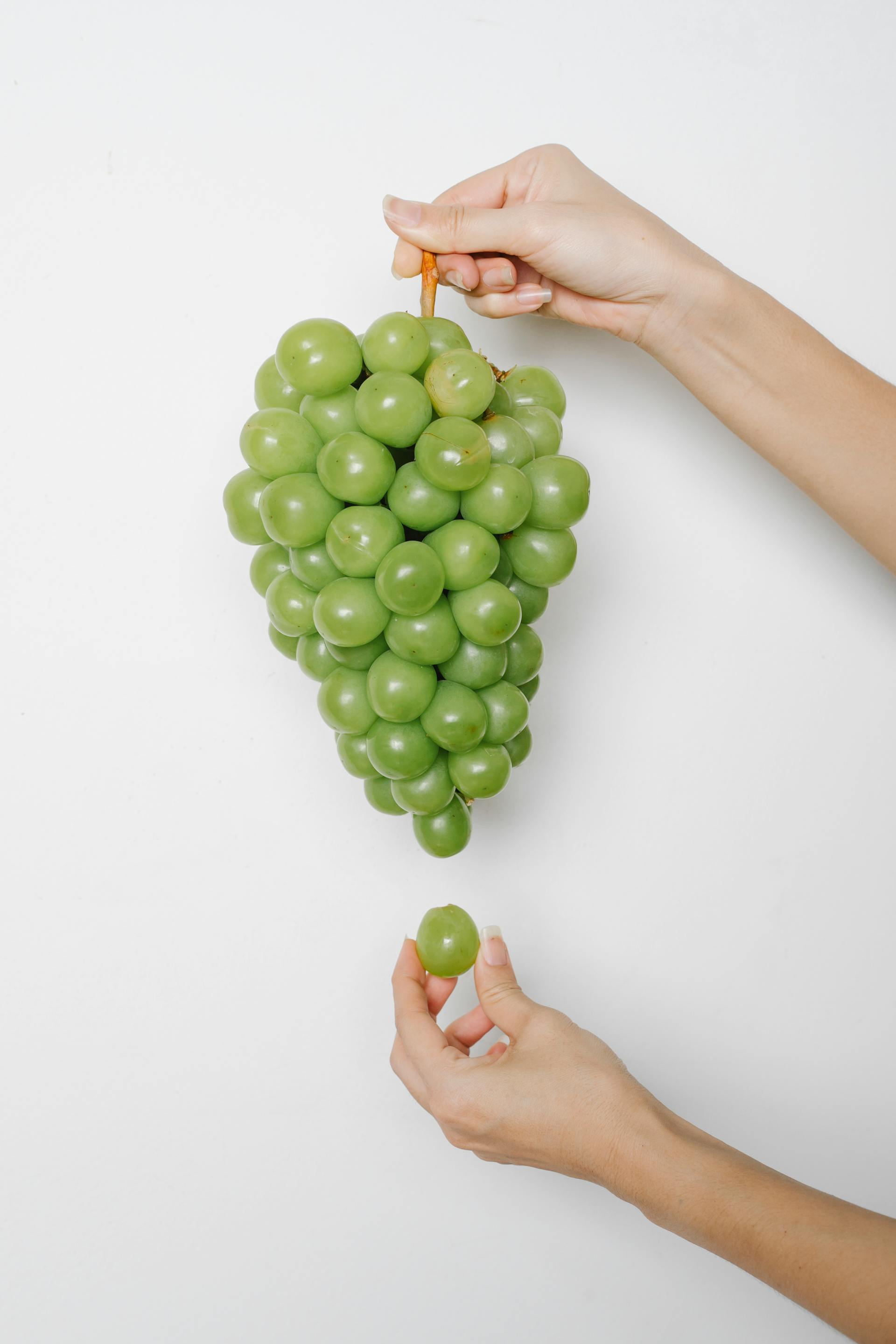 Freezing Pickled Grapes: A Unique Snack Idea | Fridge.com