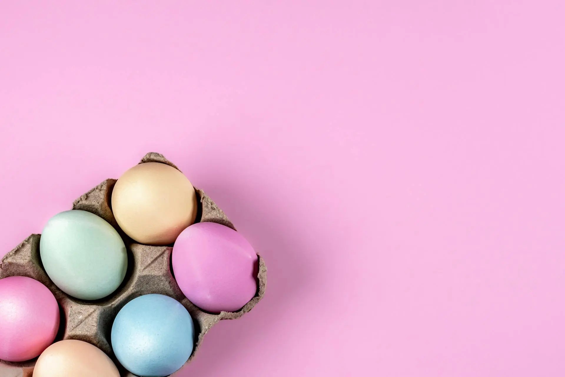 Fridge Organizer Egg Tray | Fridge.com