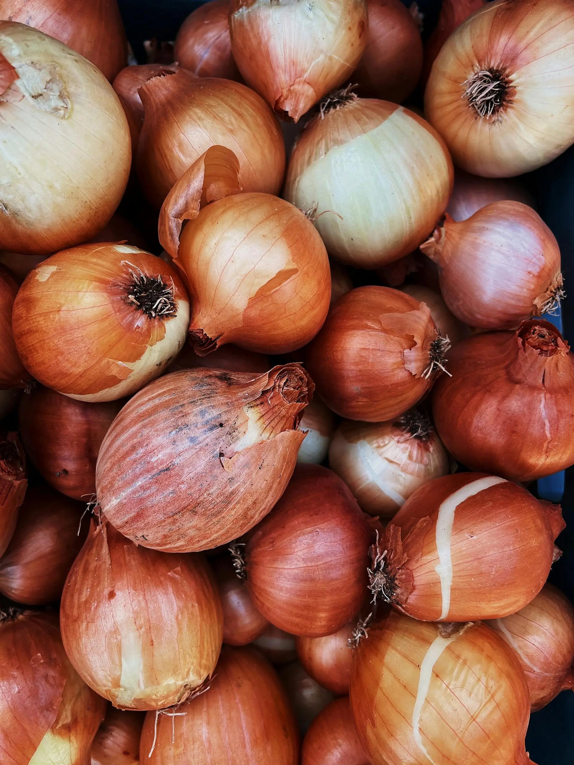 Fridge Tips: Recipes With Pickled Onions | Fridge.com