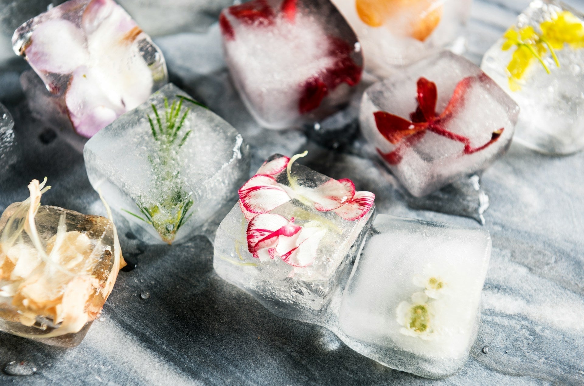 How Cold Is A Chest Freezer? | Fridge.com