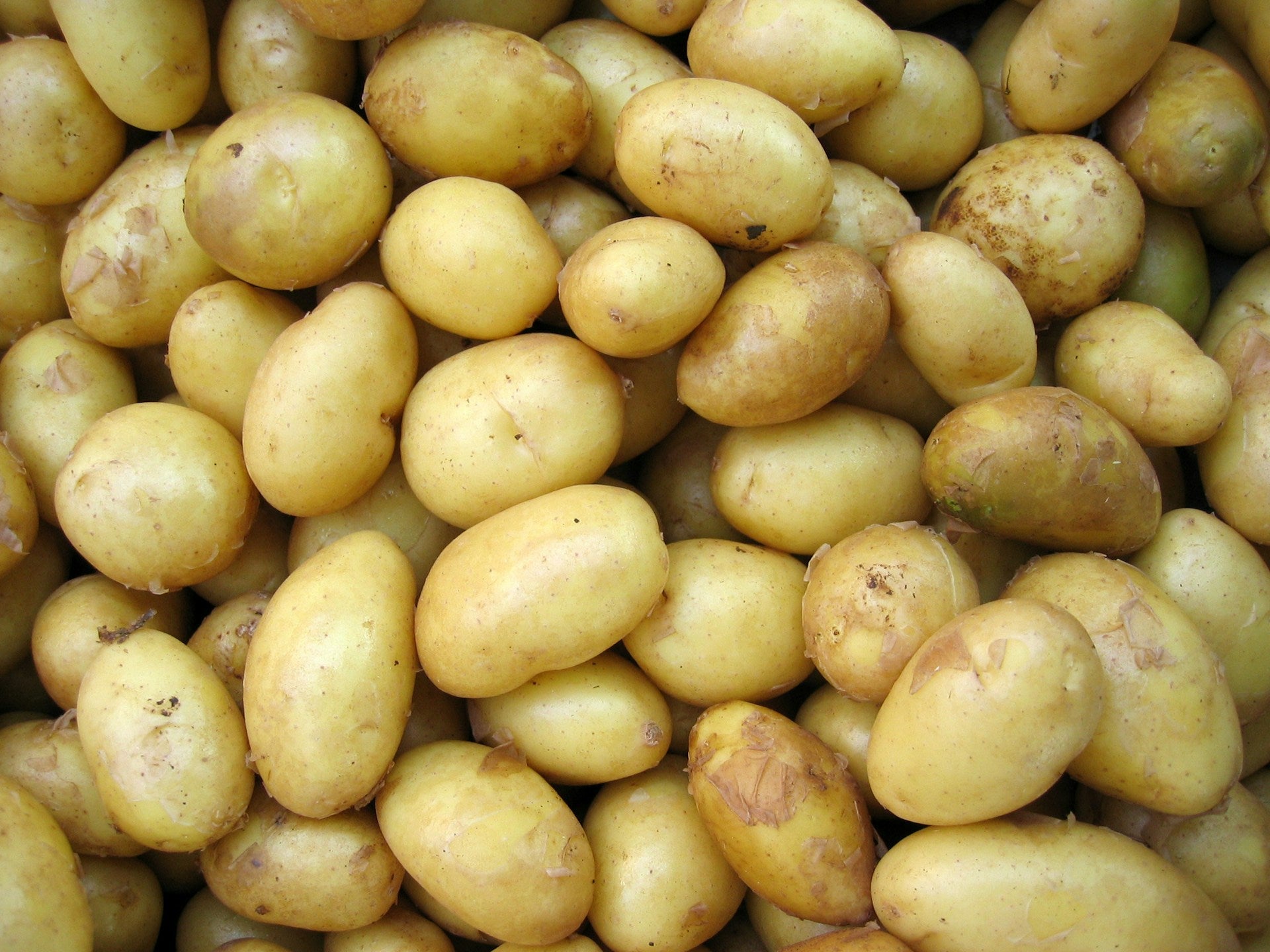 How Do I Freeze Potatoes? | Fridge.com