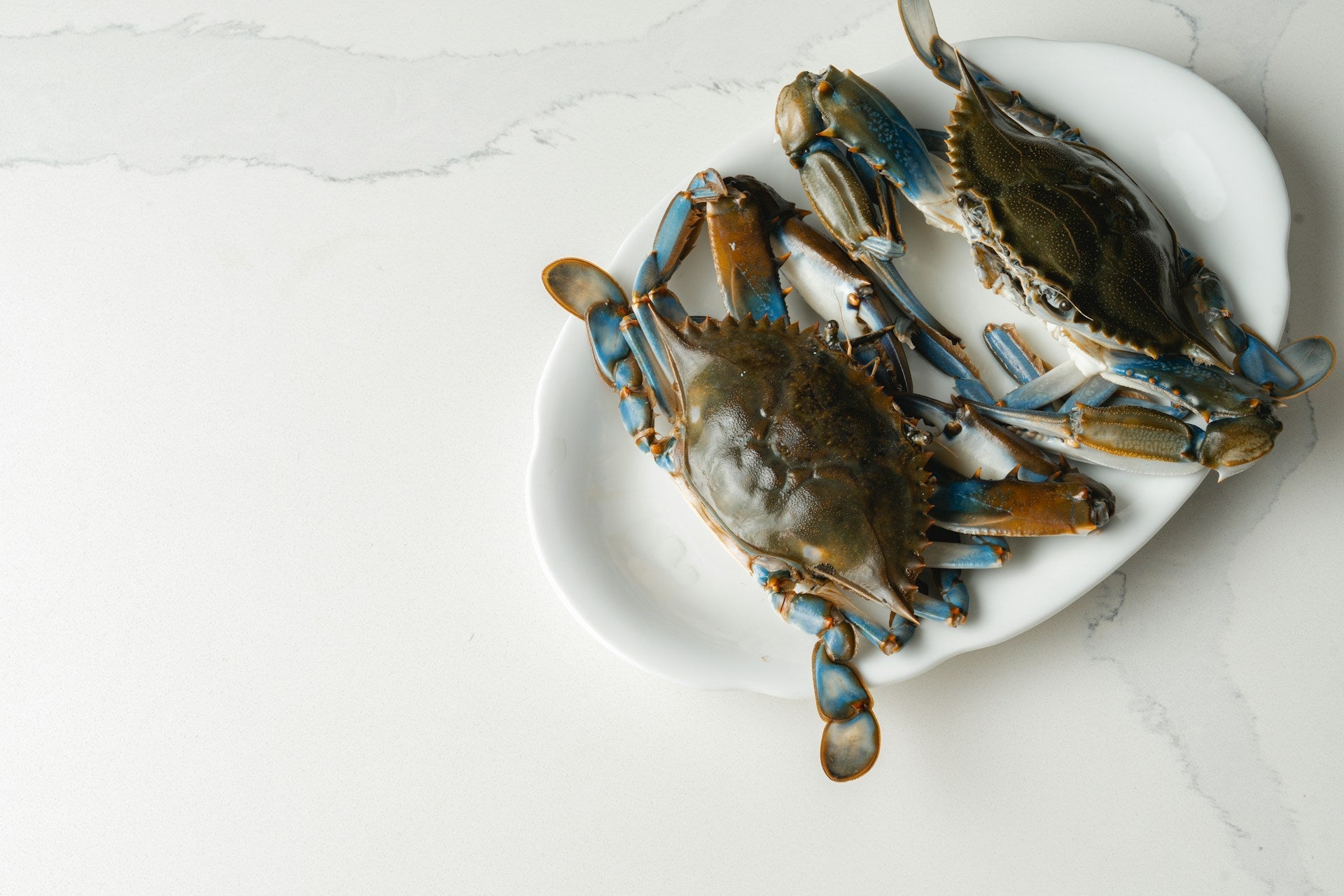 How Long Can Blue Crab Last In The Fridge? | Fridge.com