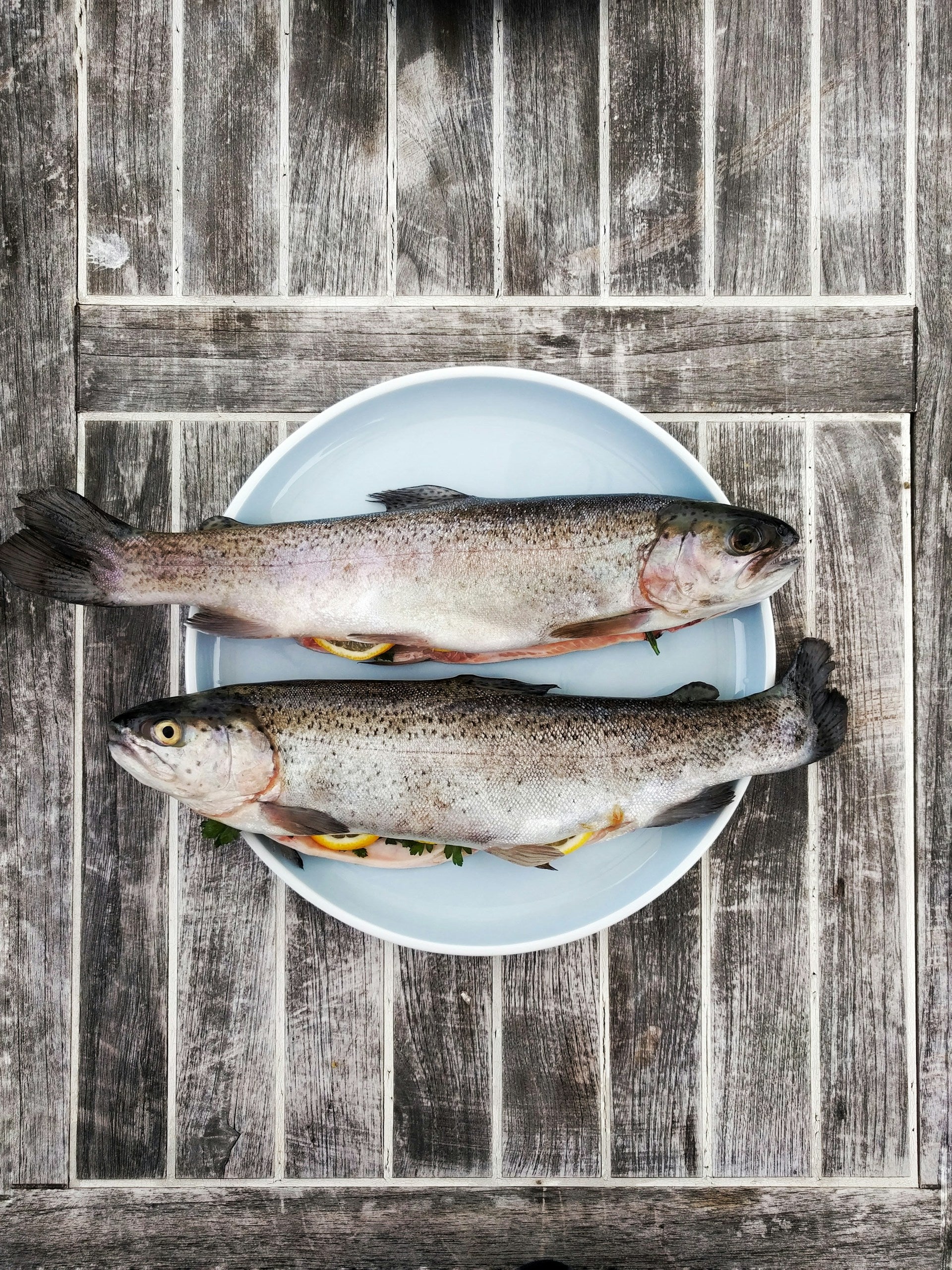 How Long Can Frozen Fish Stay In The Fridge? | Fridge.com