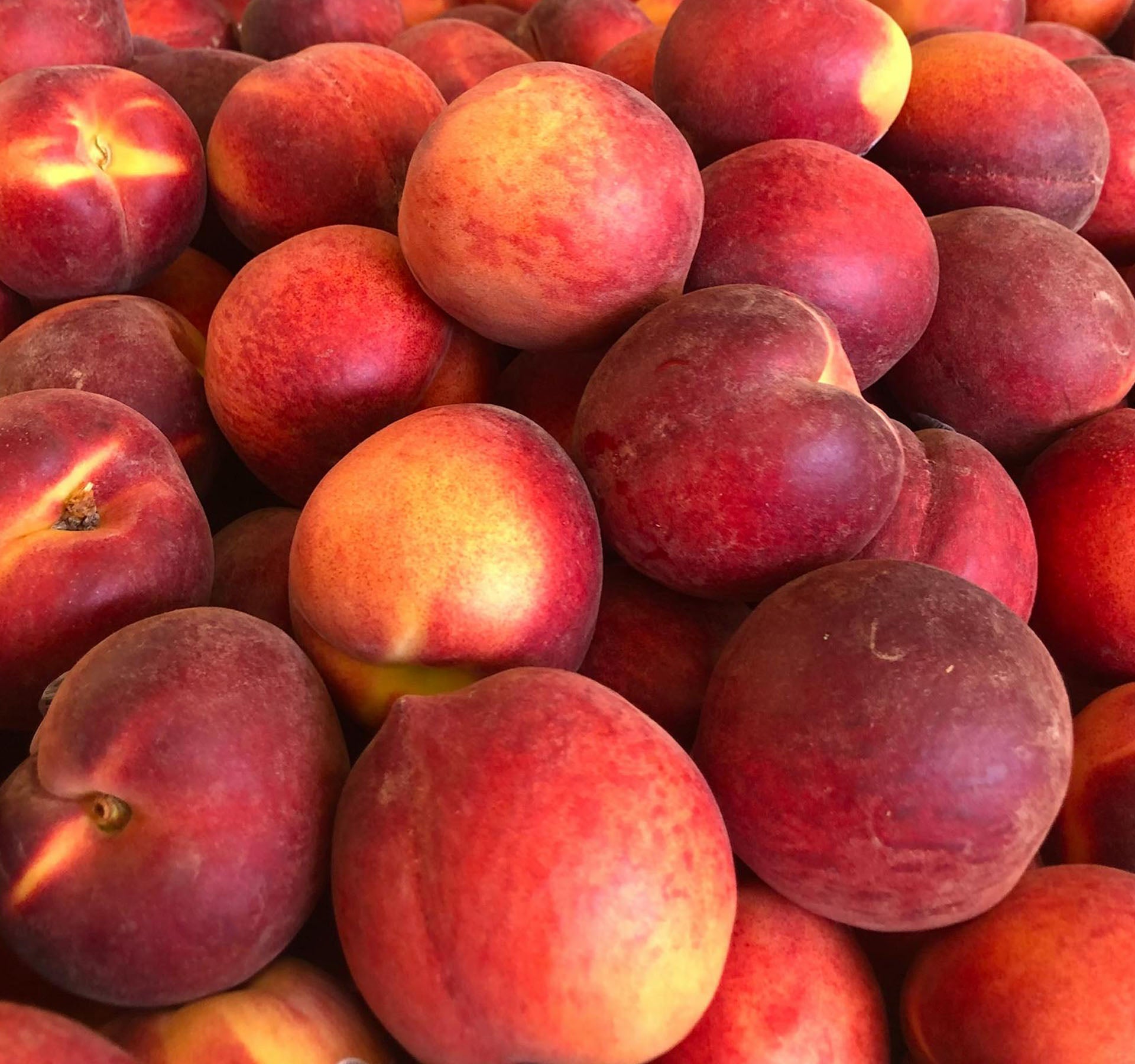 How Long Can Peaches Last In The Fridge? | Fridge.com
