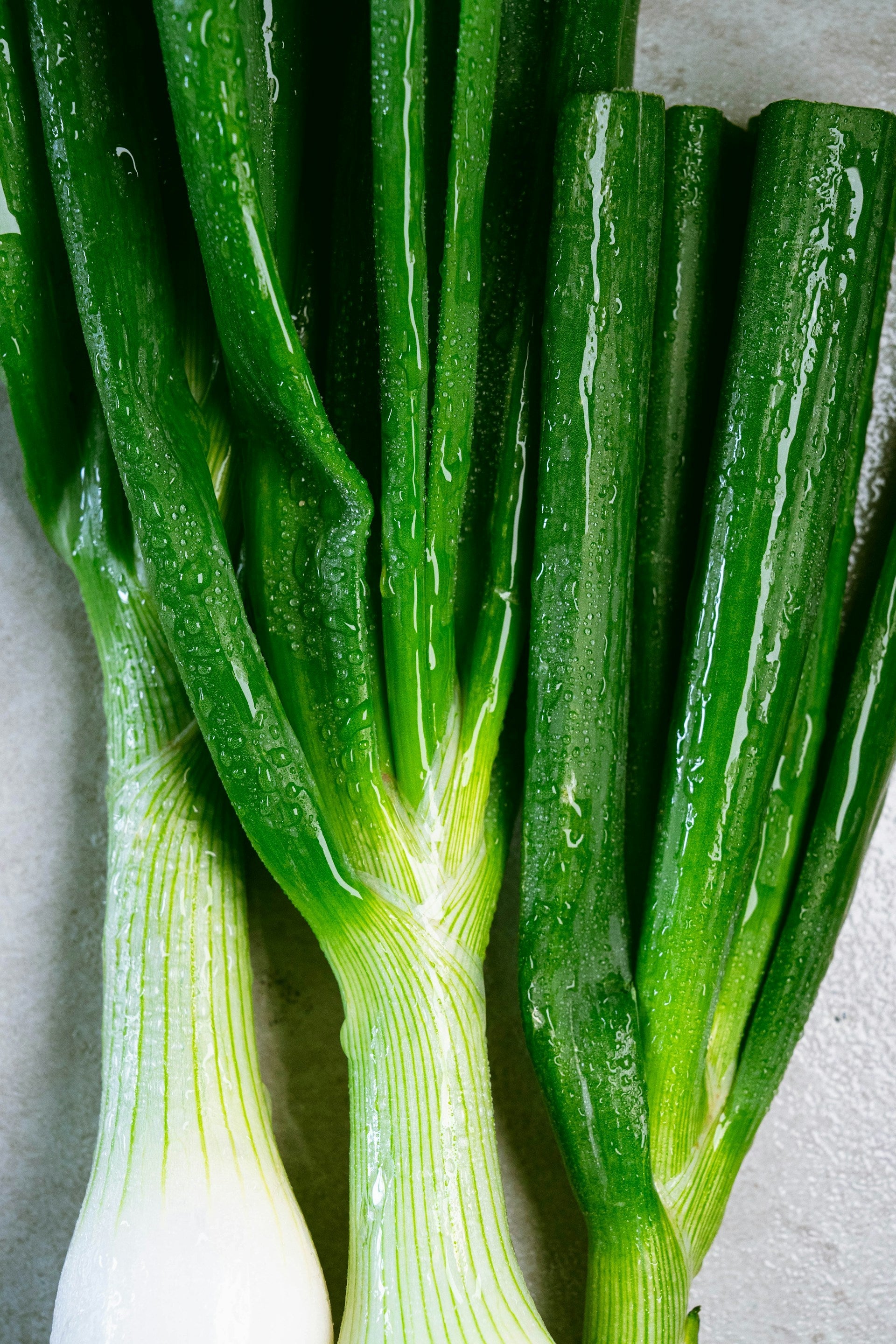 How Long Can Vegetables Last In My Cooler? | Fridge.com