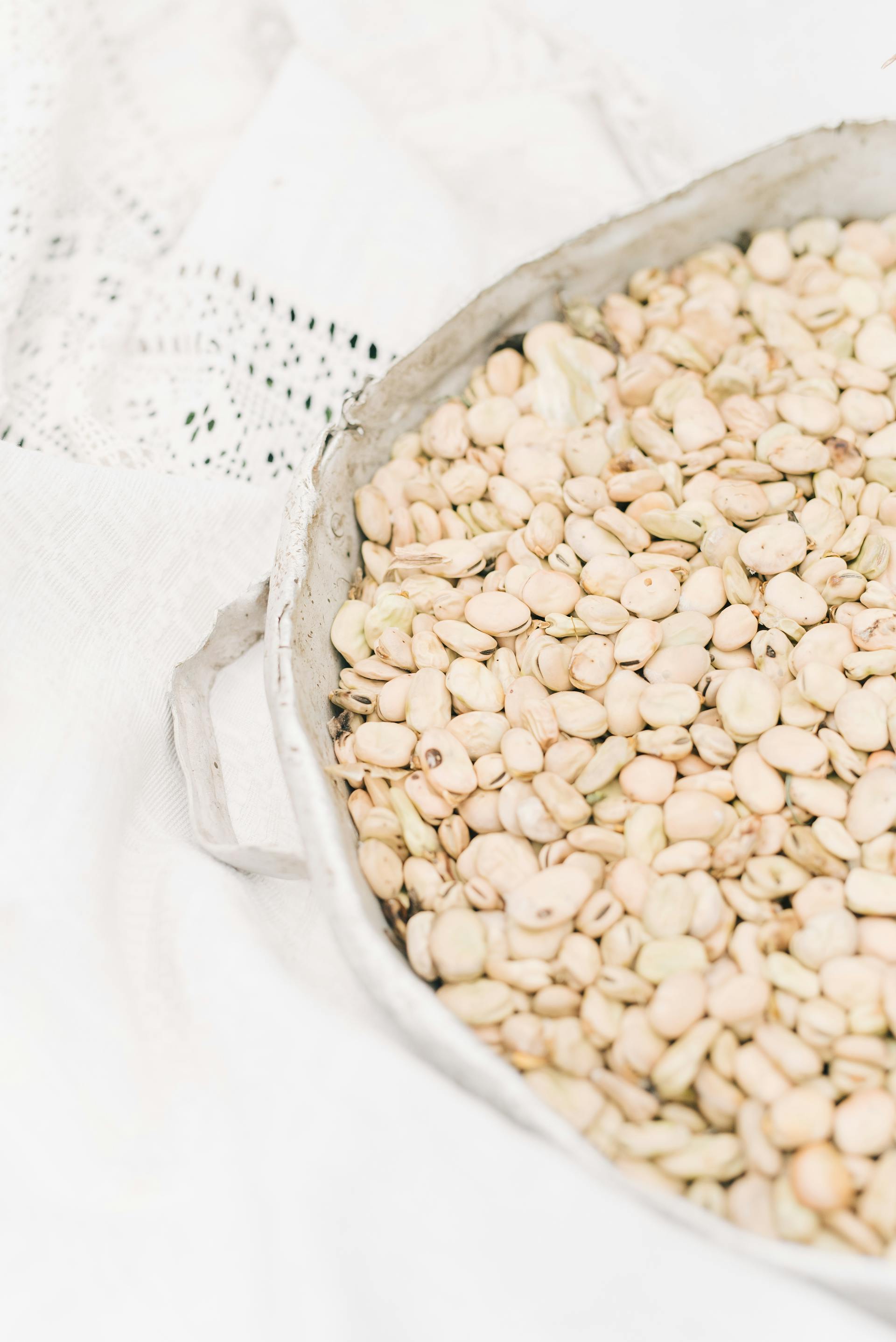 How Long Can White Beans Last In The Fridge? | Fridge.com