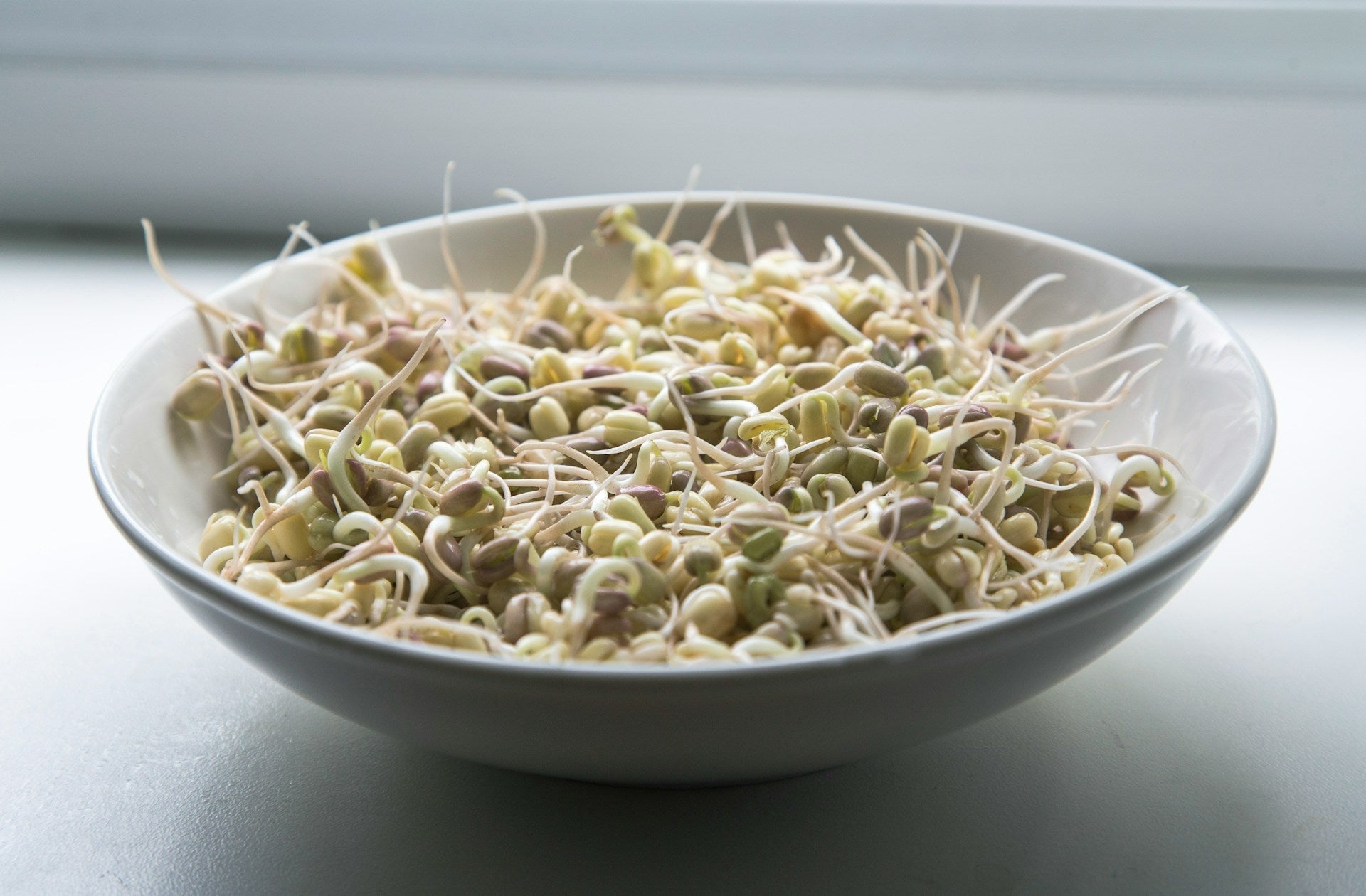 How Long Do Bean Sprouts Last In The Fridge? | Fridge.com