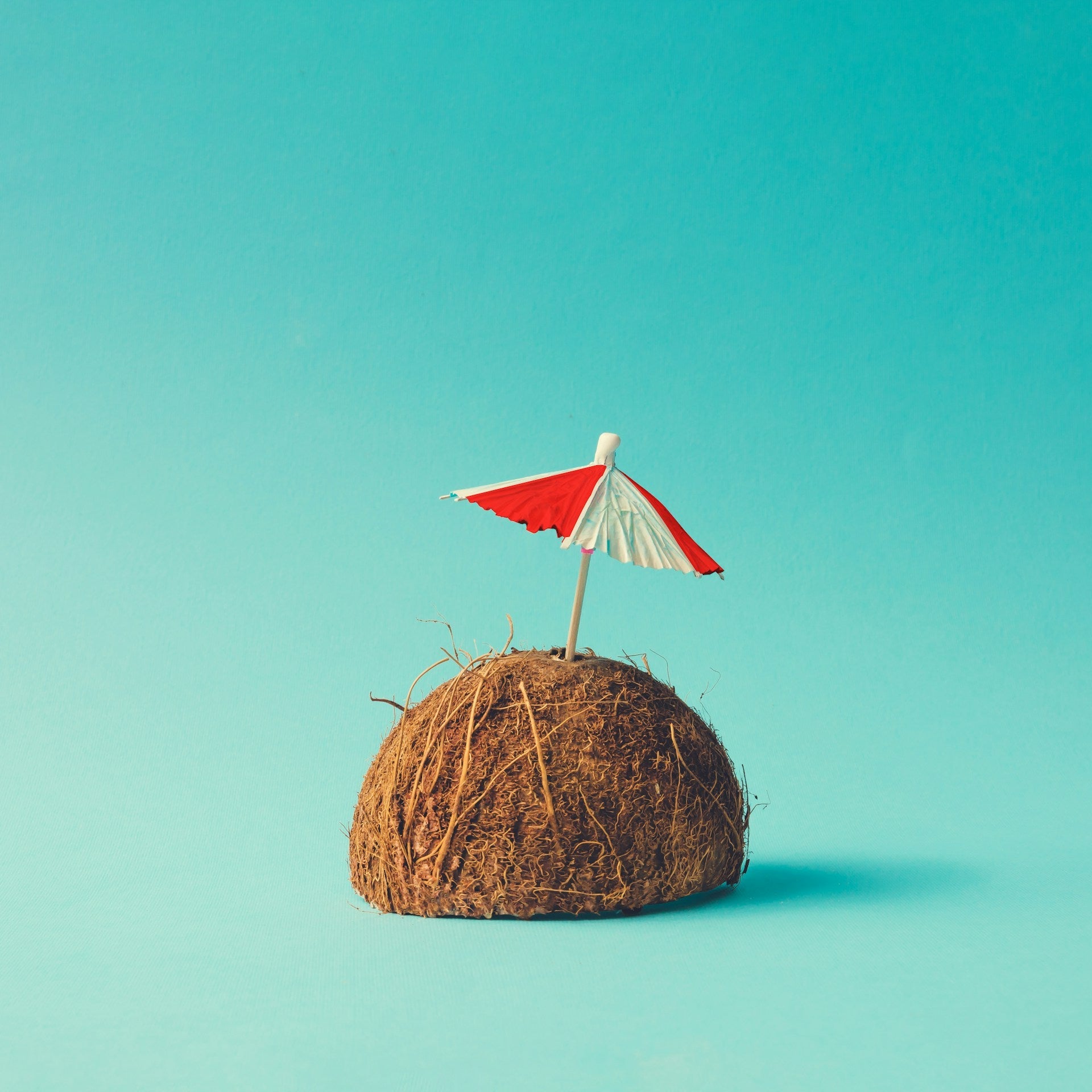 How Long Do Coconuts Last In The Fridge? | Fridge.com