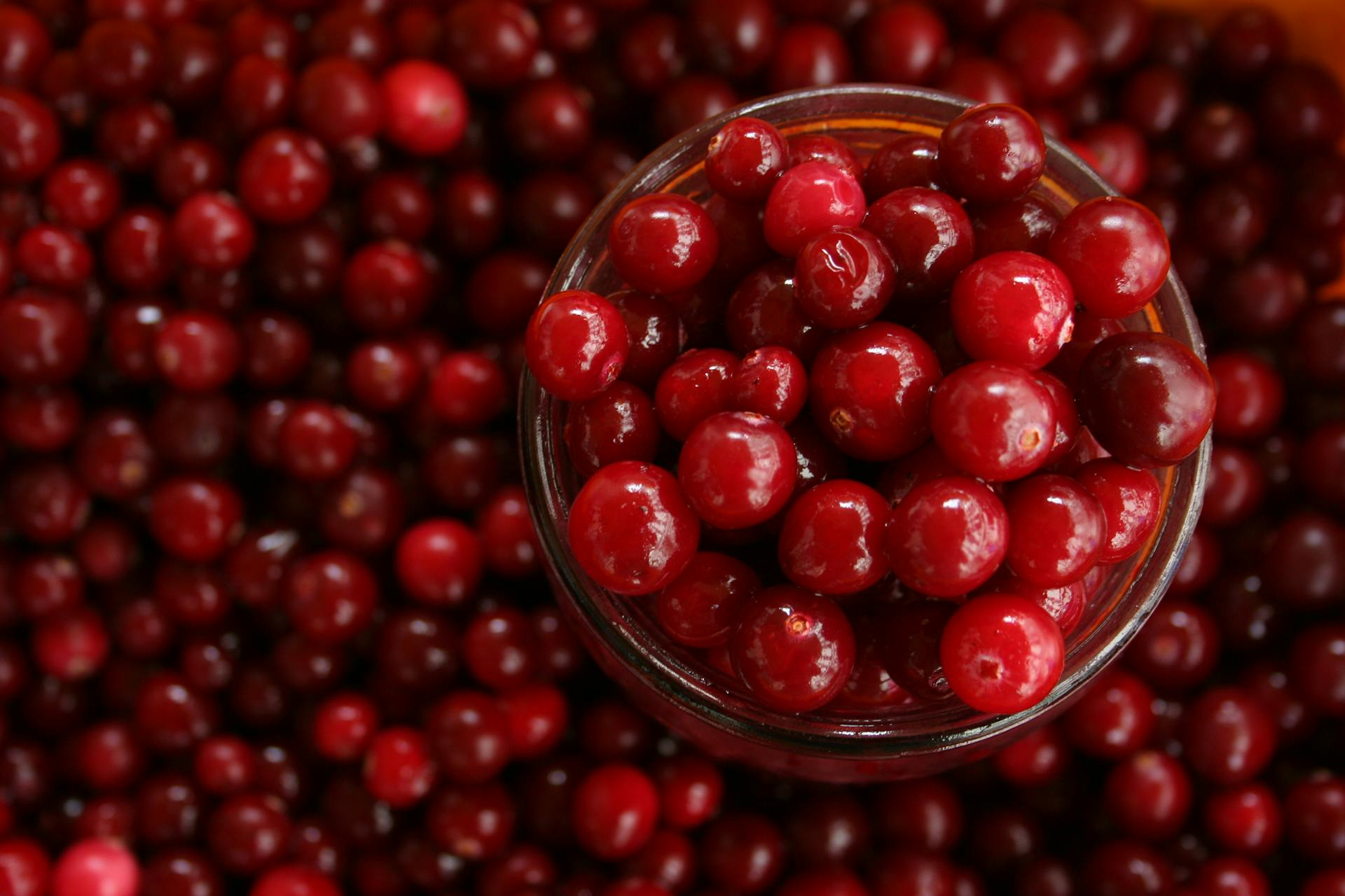 How Long Do Cranberries Last In The Fridge? | Fridge.com
