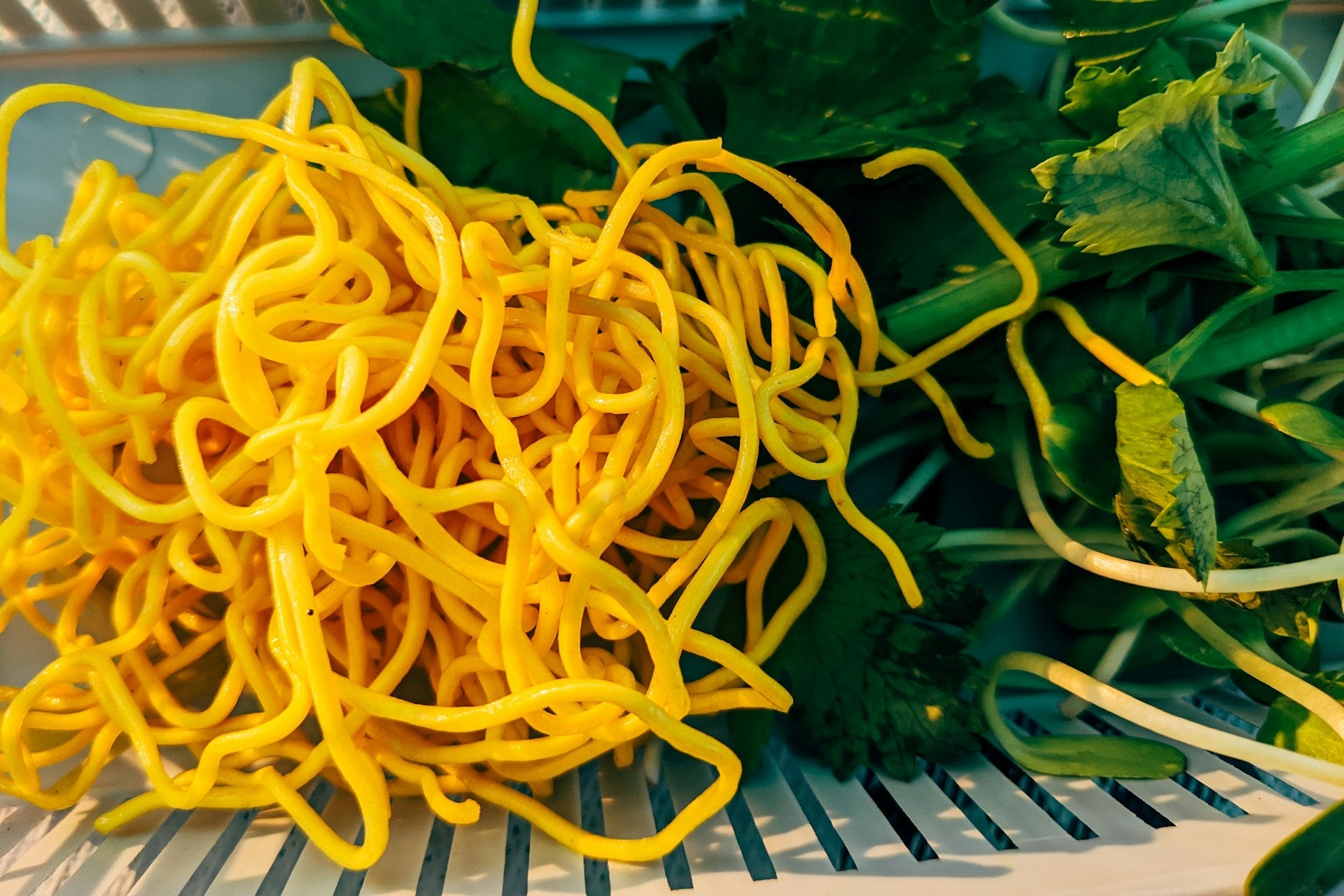 How Long Do Fresh Noodles Last in the fridge? | Fridge.com